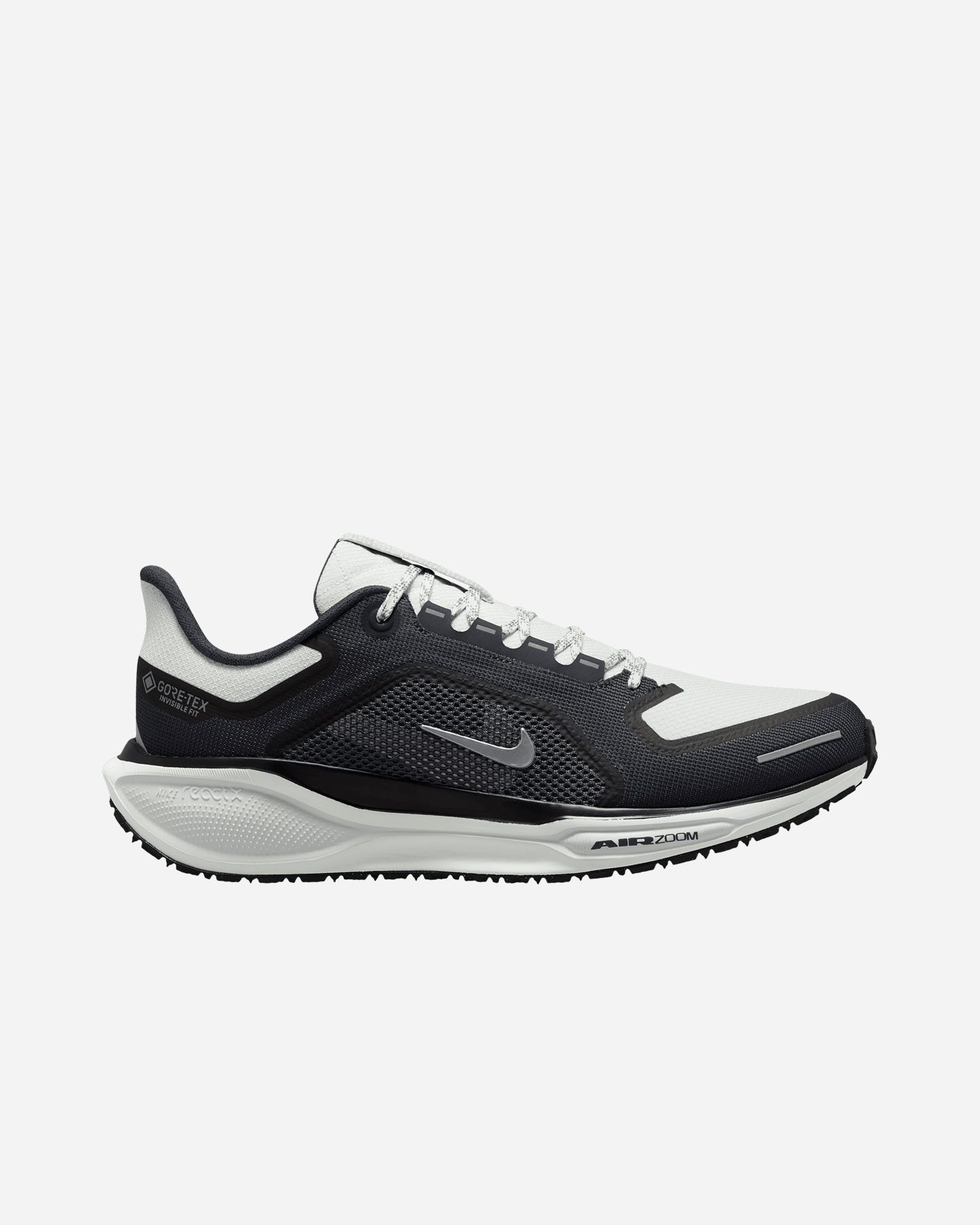 Scarpe running NIKE PEGASUS 41 GORE TEX M - 0 | Cisalfa Sport