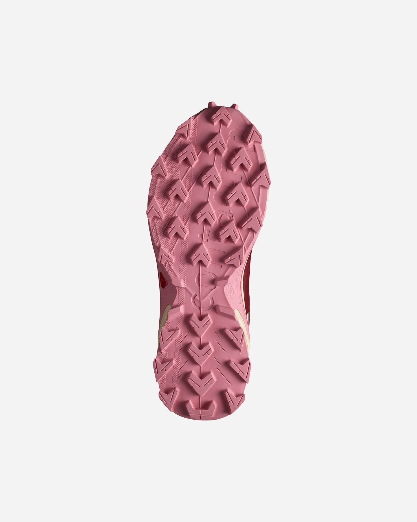 Scarpe trail SALOMON SUPERCROSS 4 GTX W - Rosa - 1 | Cisalfa Sport