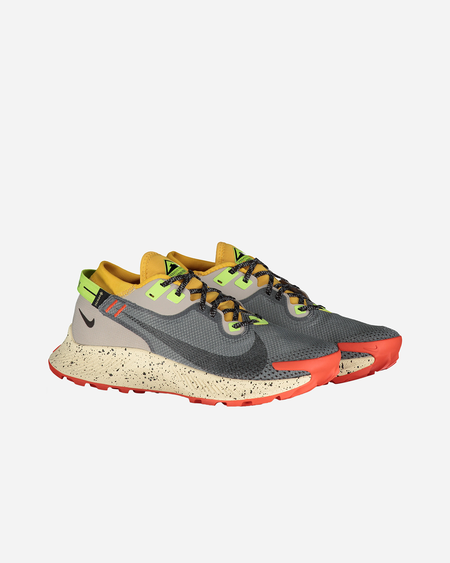 Scarpe trail NIKE PEGASUS TRAIL 2 GTX M - Grigio - 1 | Cisalfa Sport