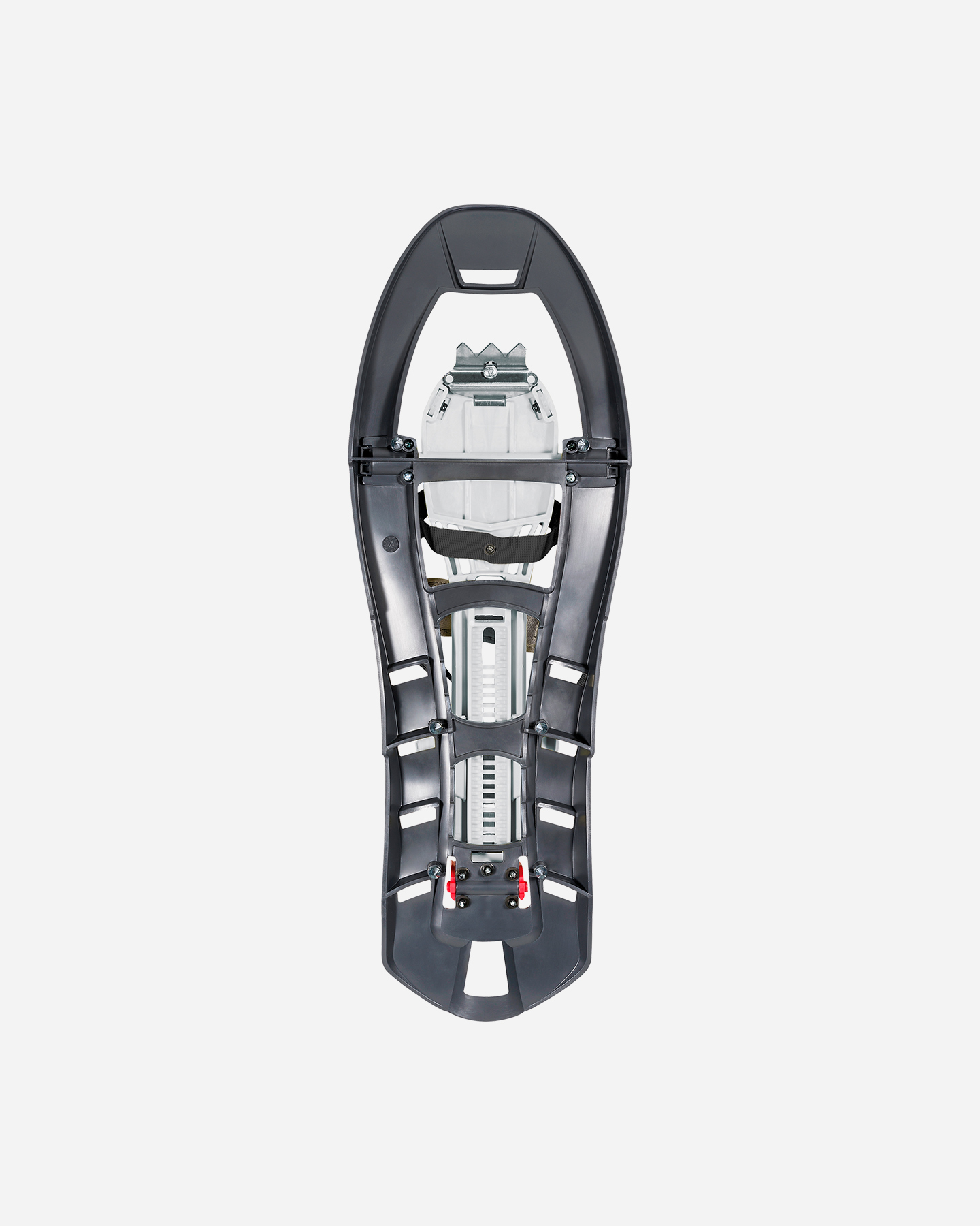 Ciaspole FERRINO PINTER CASTOR - 1 | Cisalfa Sport