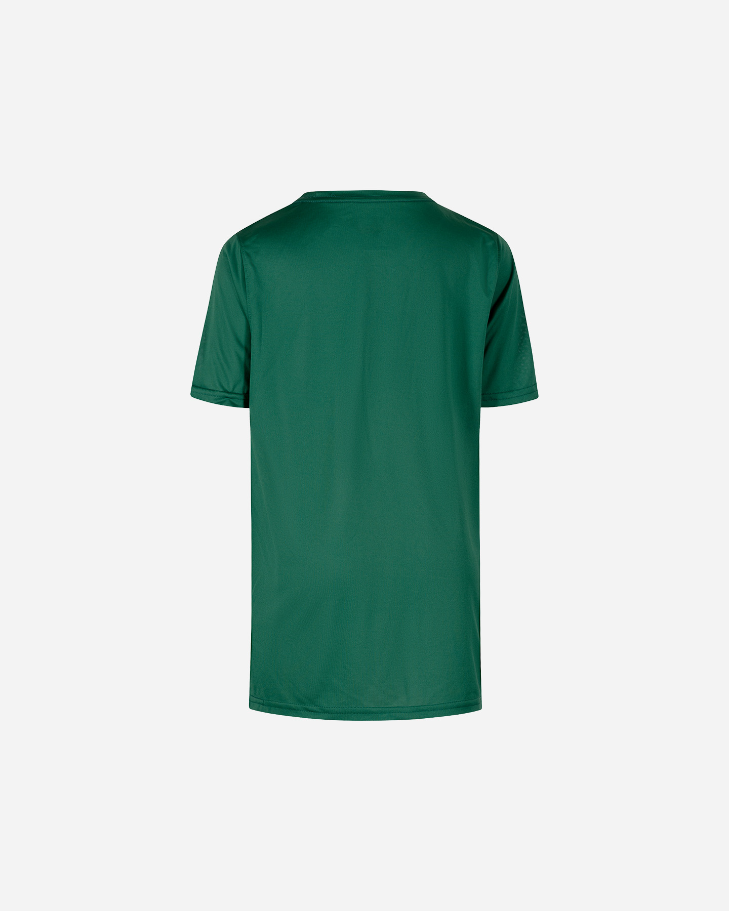 Abbigliamento basket NIKE DRI FIT ESSENTIAL BOSTON CELTICS JR - Verde - 1 | Cisalfa Sport