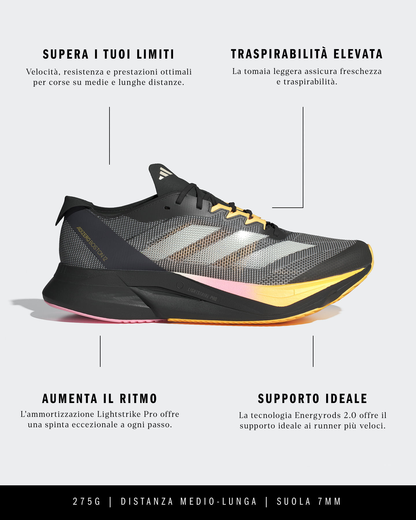 Scarpe running ADIDAS ADIZERO BOSTON 12 M - 1 | Cisalfa Sport