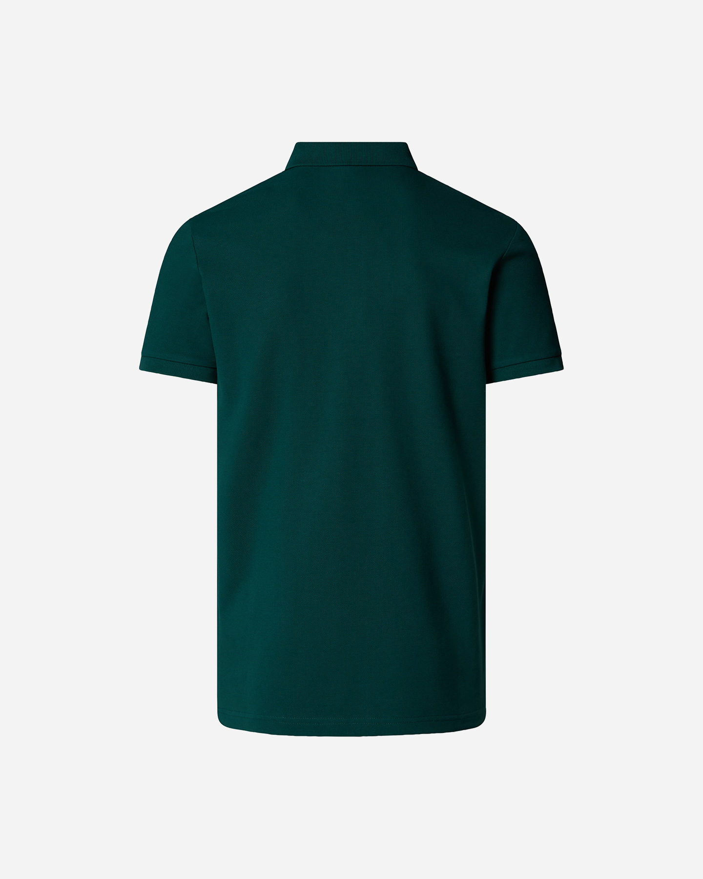 Polo THE NORTH FACE CLASSIC M - Verde - 1 | Cisalfa Sport