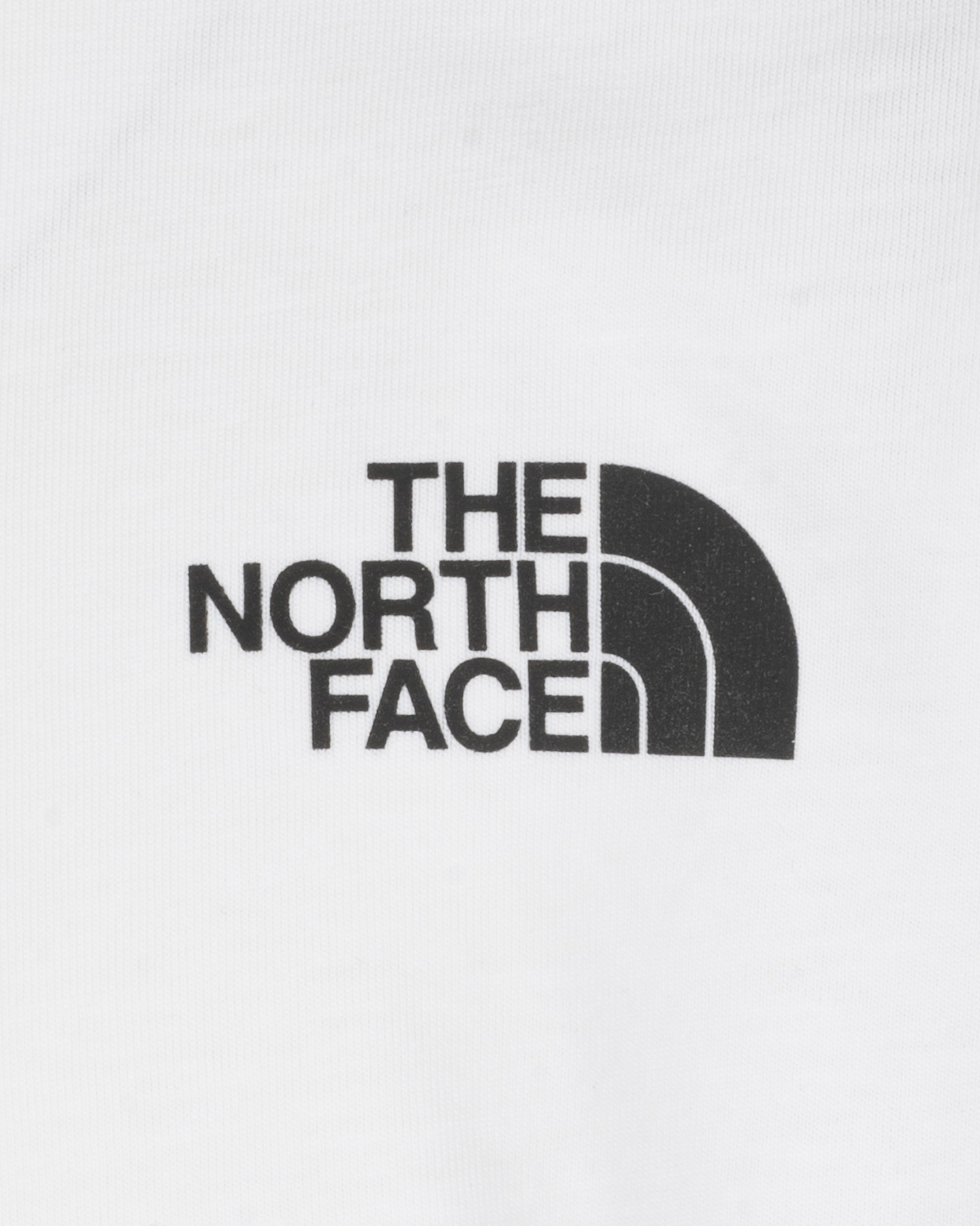 T-shirt THE NORTH FACE SIMPLE DOME JR - 2 | Cisalfa Sport