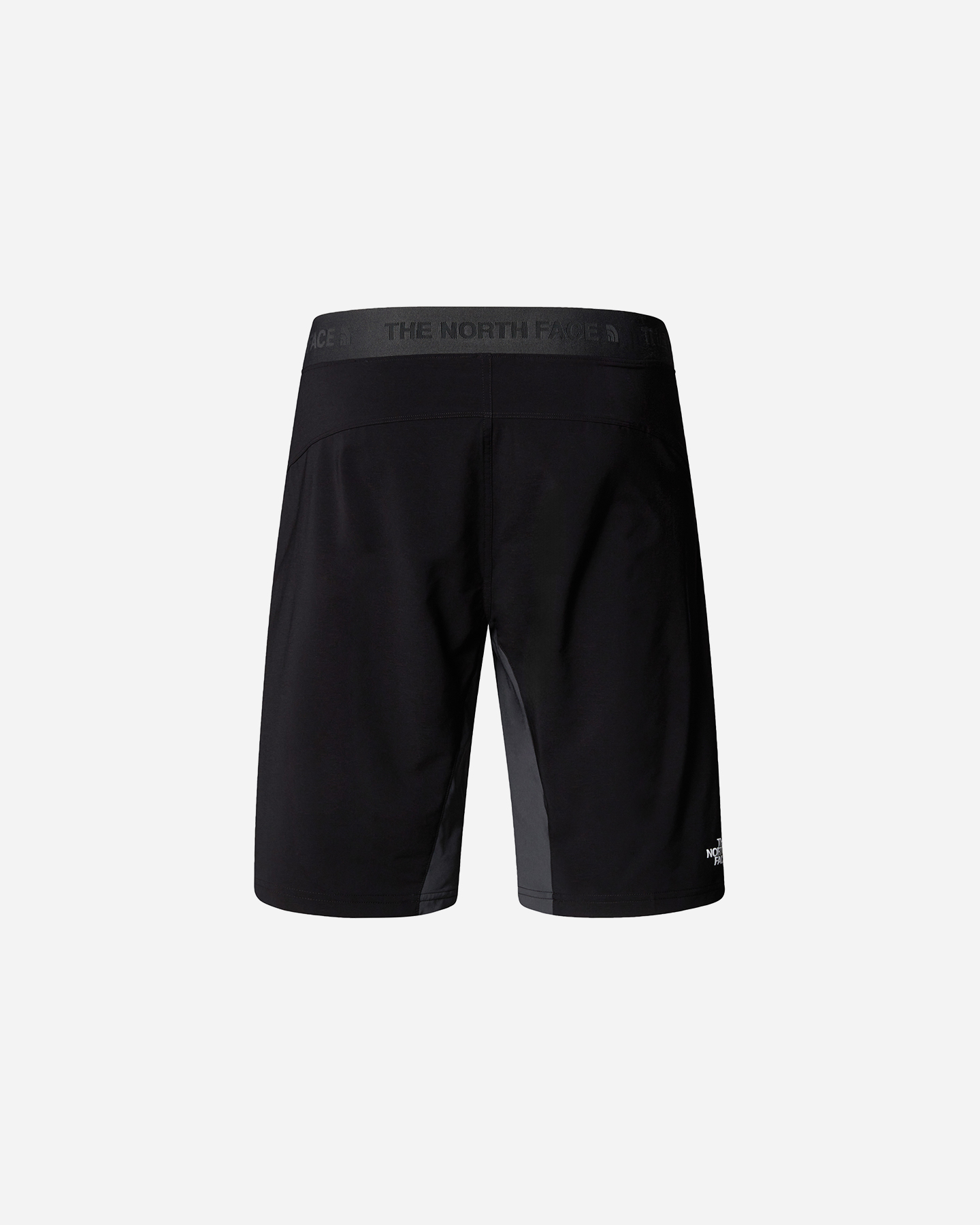 Pantaloncini THE NORTH FACE FELIK ALPINE M - Grigio - 1 | Cisalfa Sport