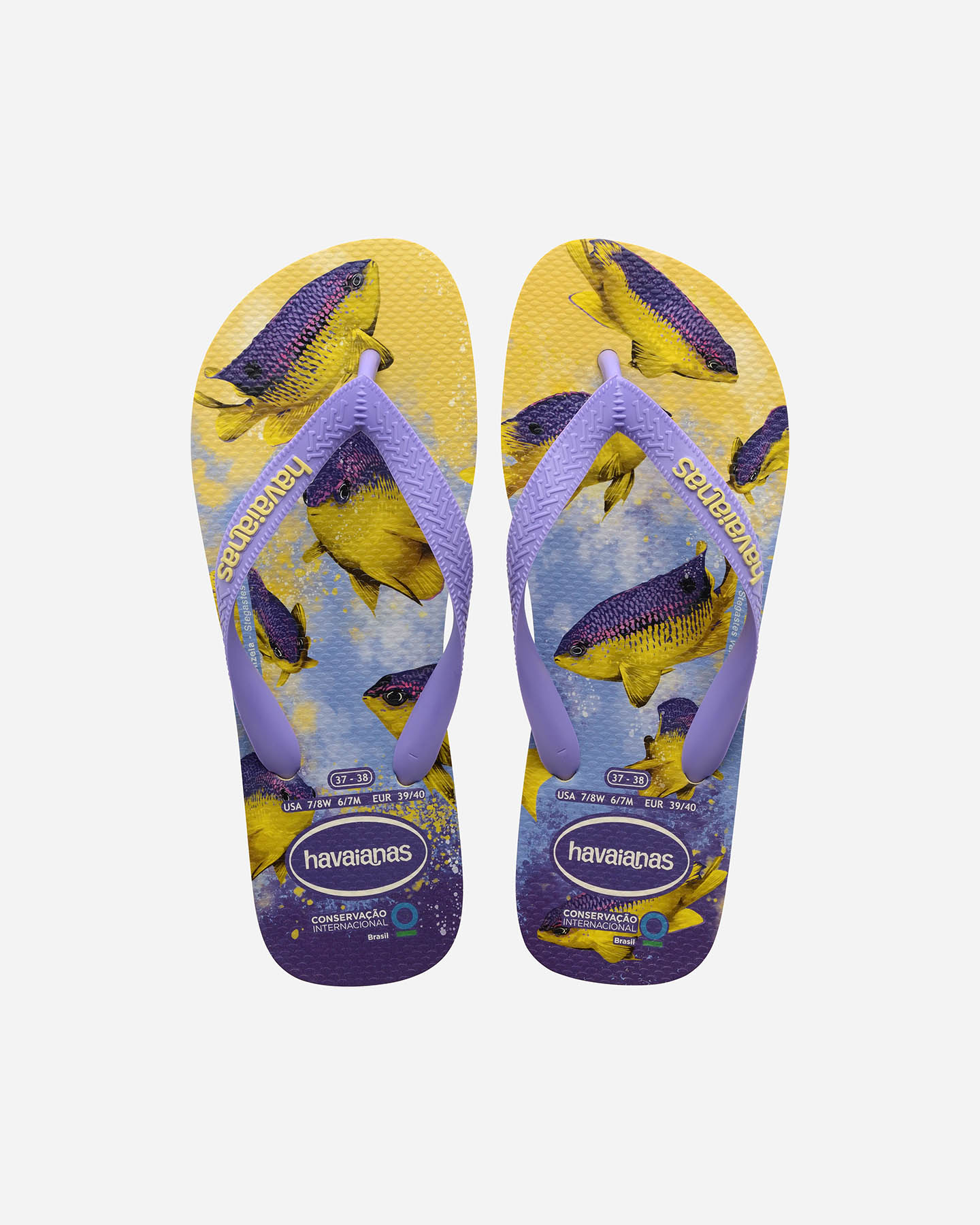 Infradito HAVAIANAS CONSERVATION M - 0 | Cisalfa Sport