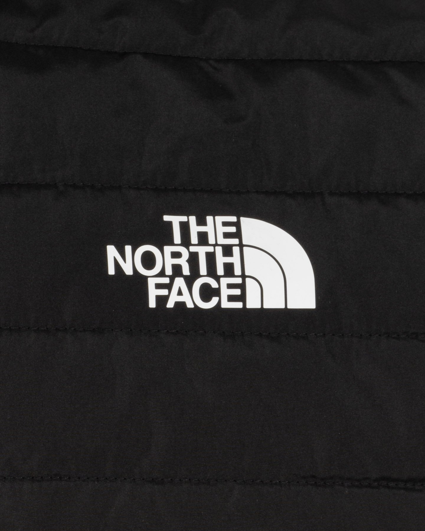 Gilet THE NORTH FACE CANYONLANDS M - 2 | Cisalfa Sport