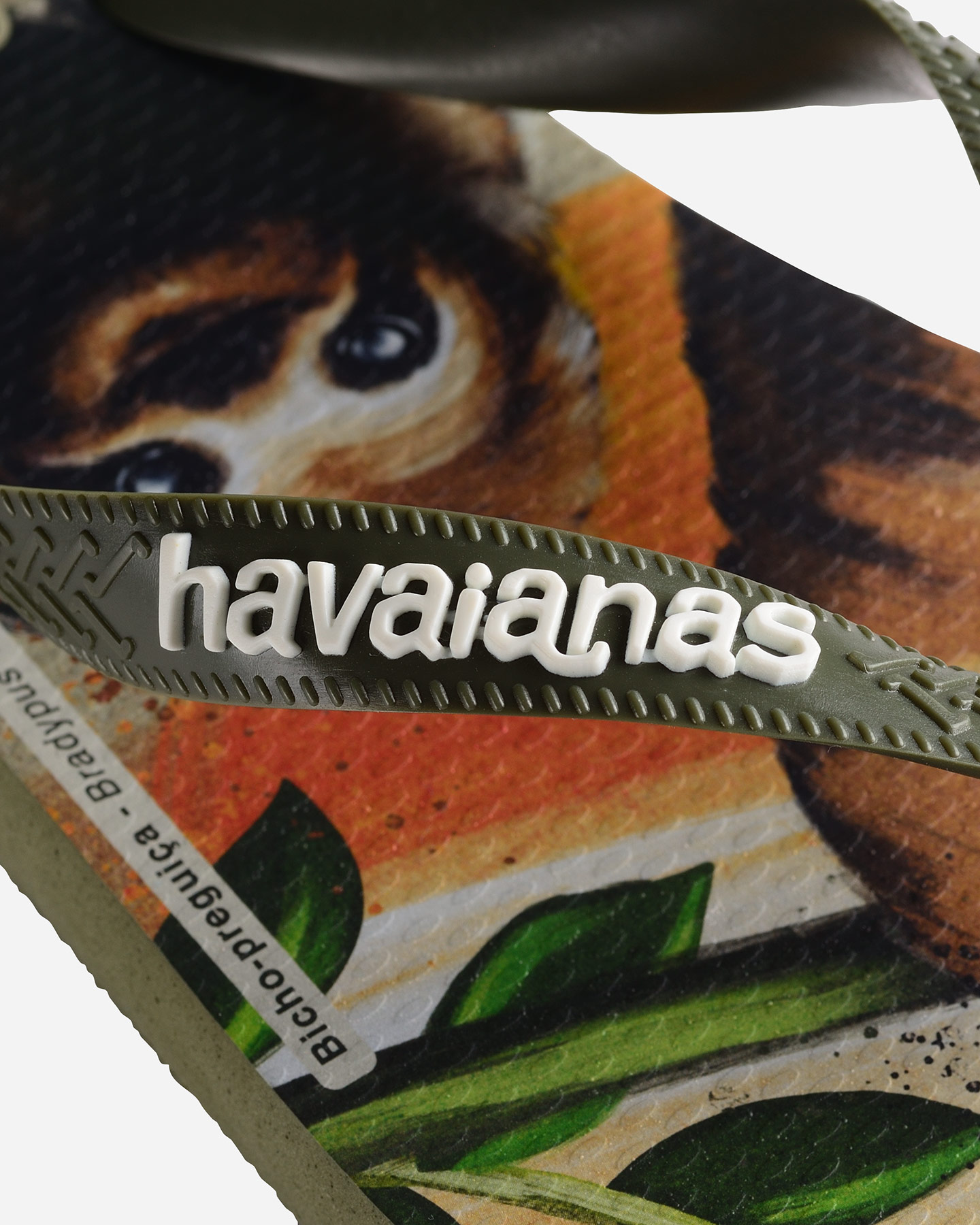 Infradito HAVAIANAS IPE M - Verde - 4 | Cisalfa Sport