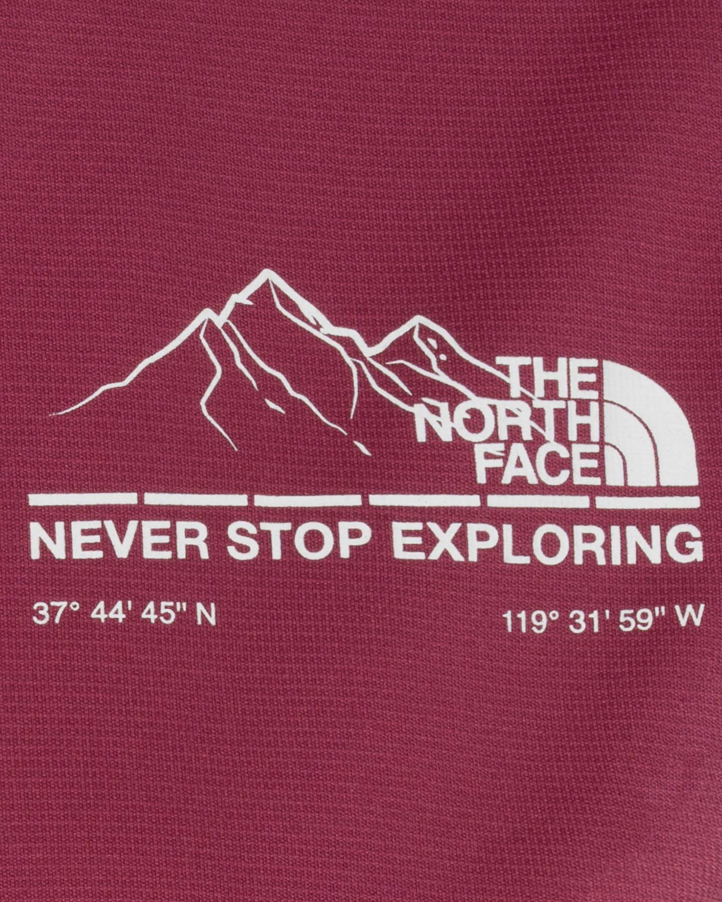 T-shirt THE NORTH FACE ODLES TECH W - Fucsia - 2 | Cisalfa Sport