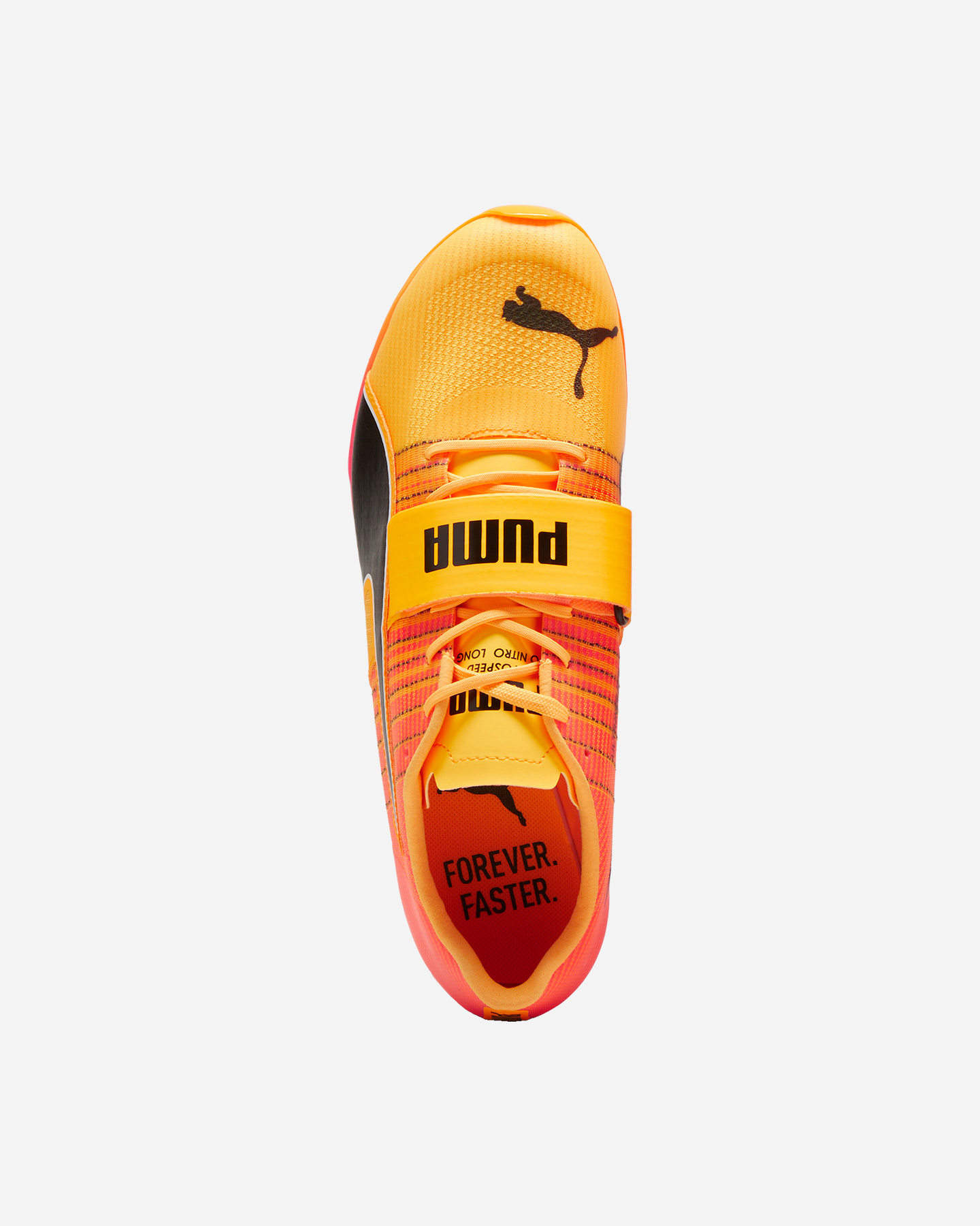 Scarpe running PUMA EVOSPEED LONG JUMP NITRO 2 M - 3 | Cisalfa Sport