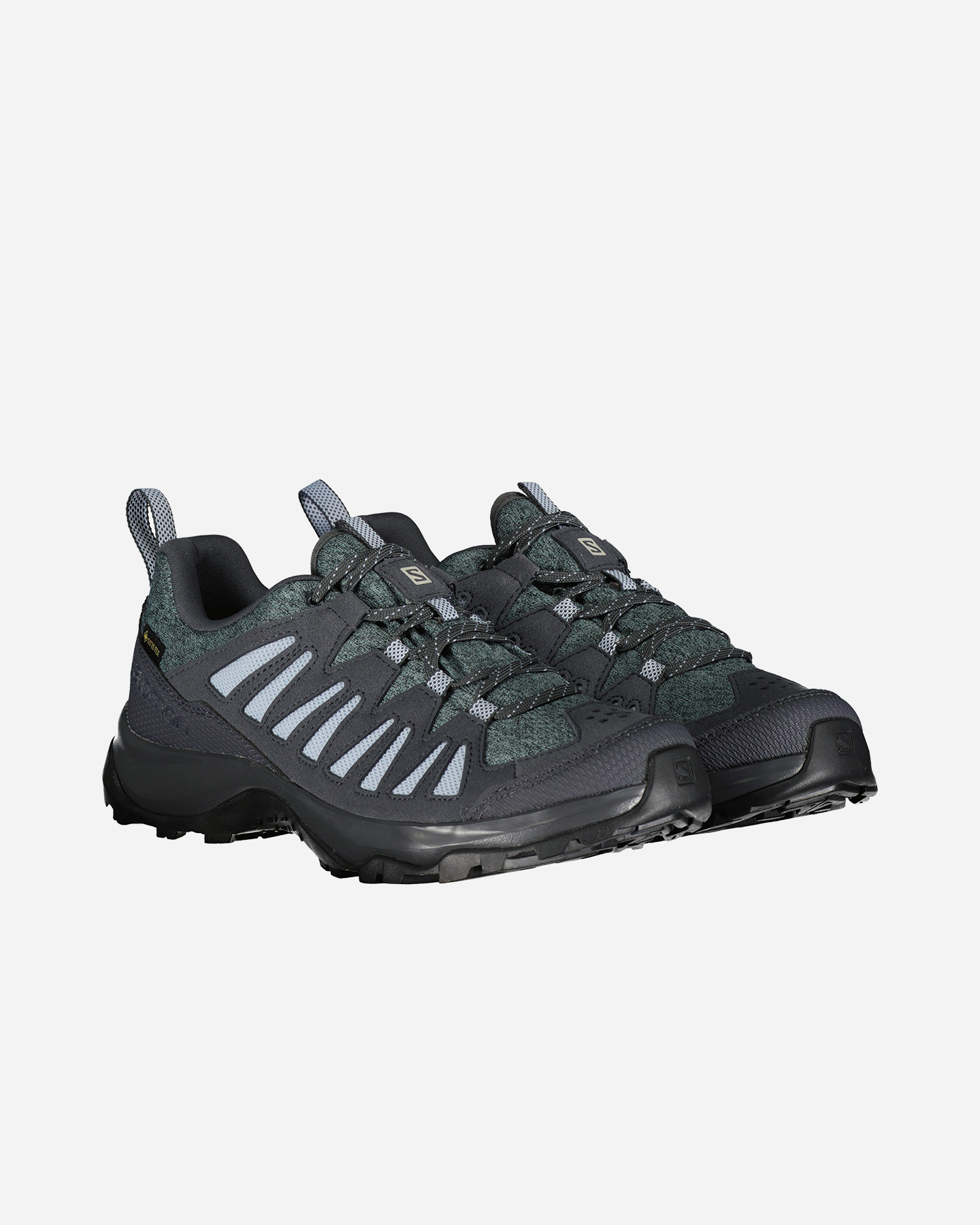 Scarpe trail SALOMON EOS GTX W - Grigio - 1 | Cisalfa Sport