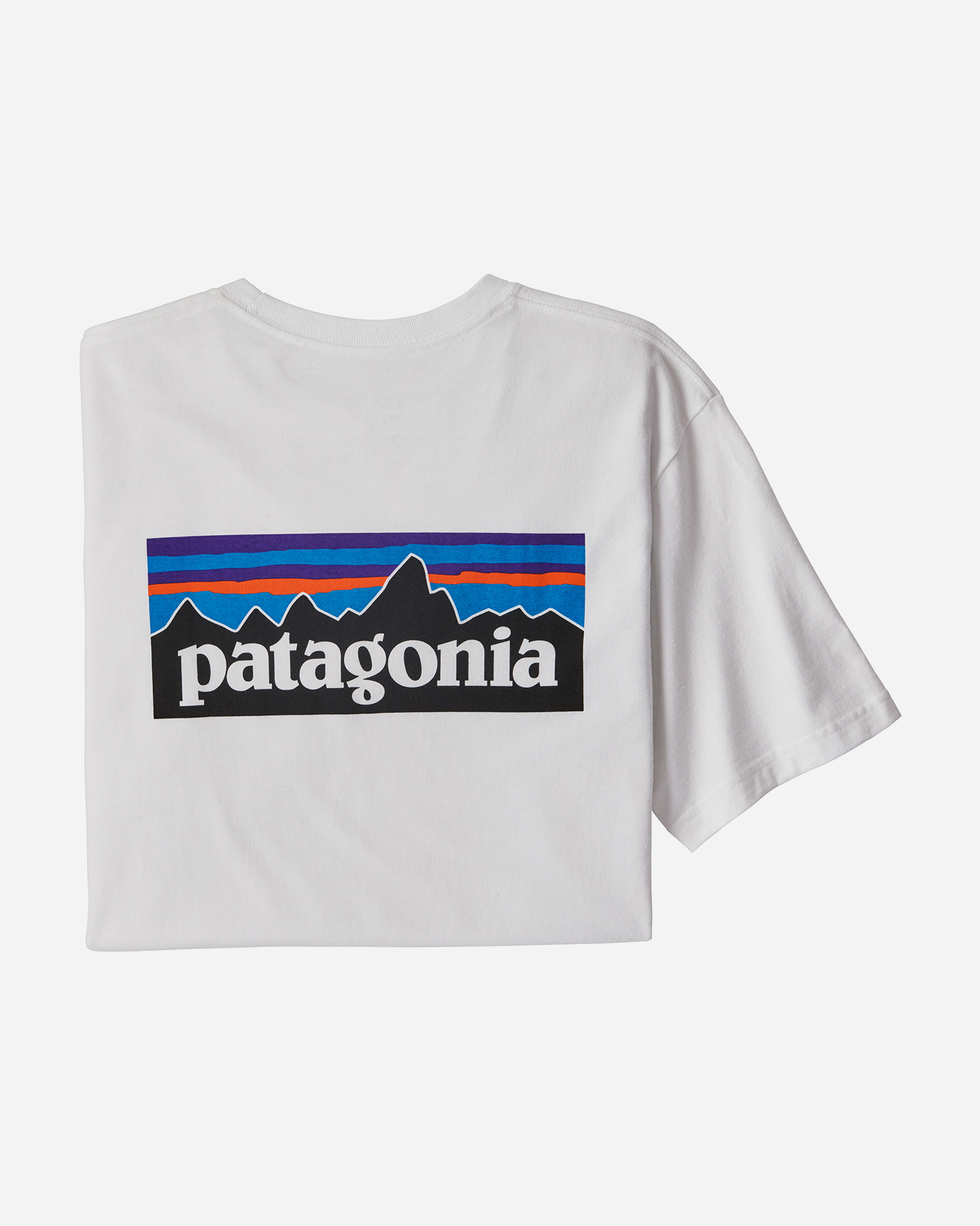 T-shirt PATAGONIA BIG LOGO M - 3 | Cisalfa Sport