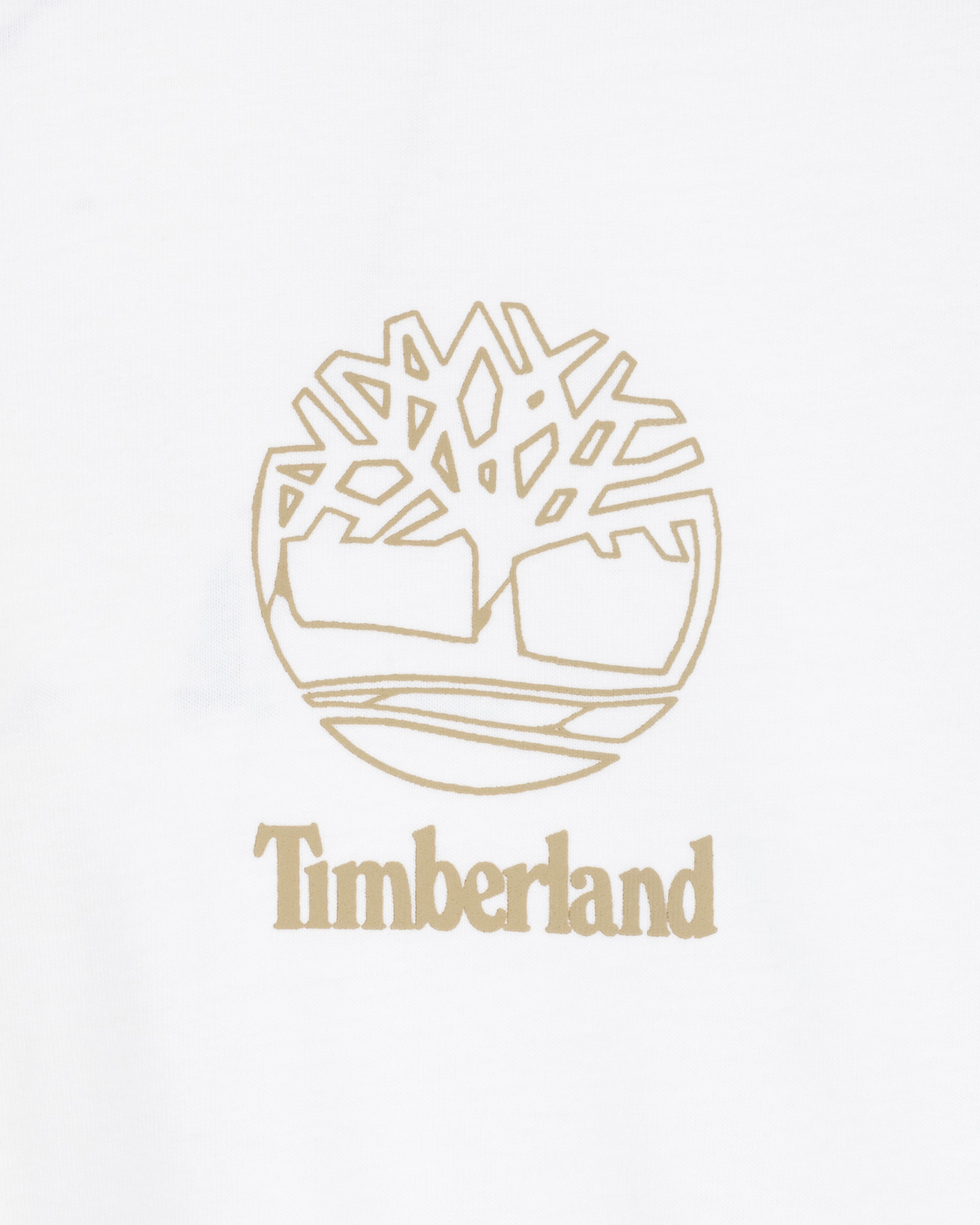 T-shirt TIMBERLAND GRAFIC BACK M - 2 | Cisalfa Sport