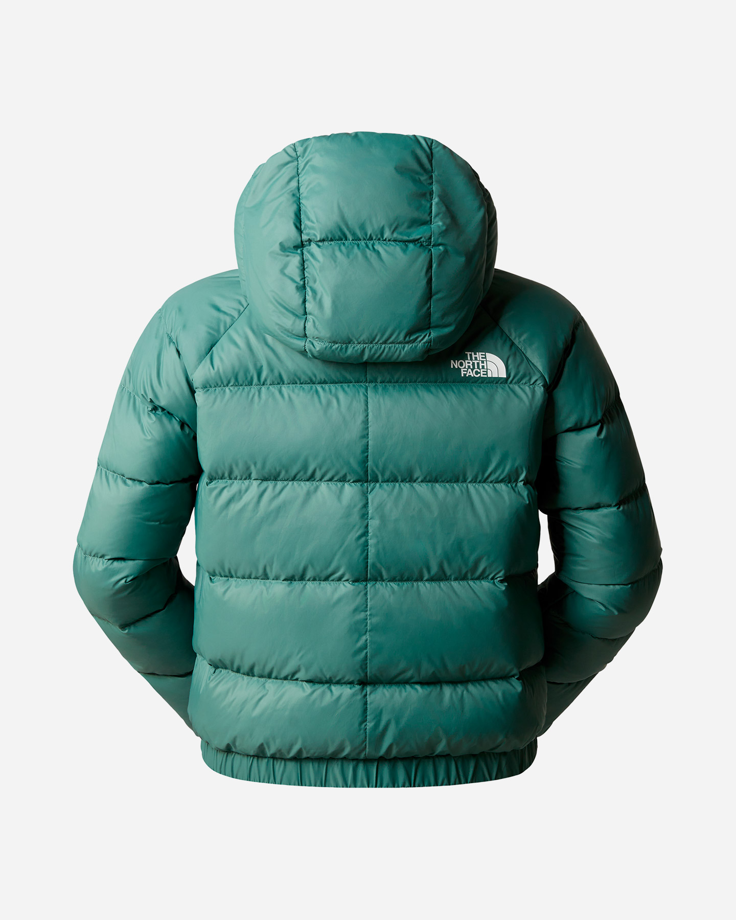 Piumino THE NORTH FACE HYALITE W - Verde - 1 | Cisalfa Sport