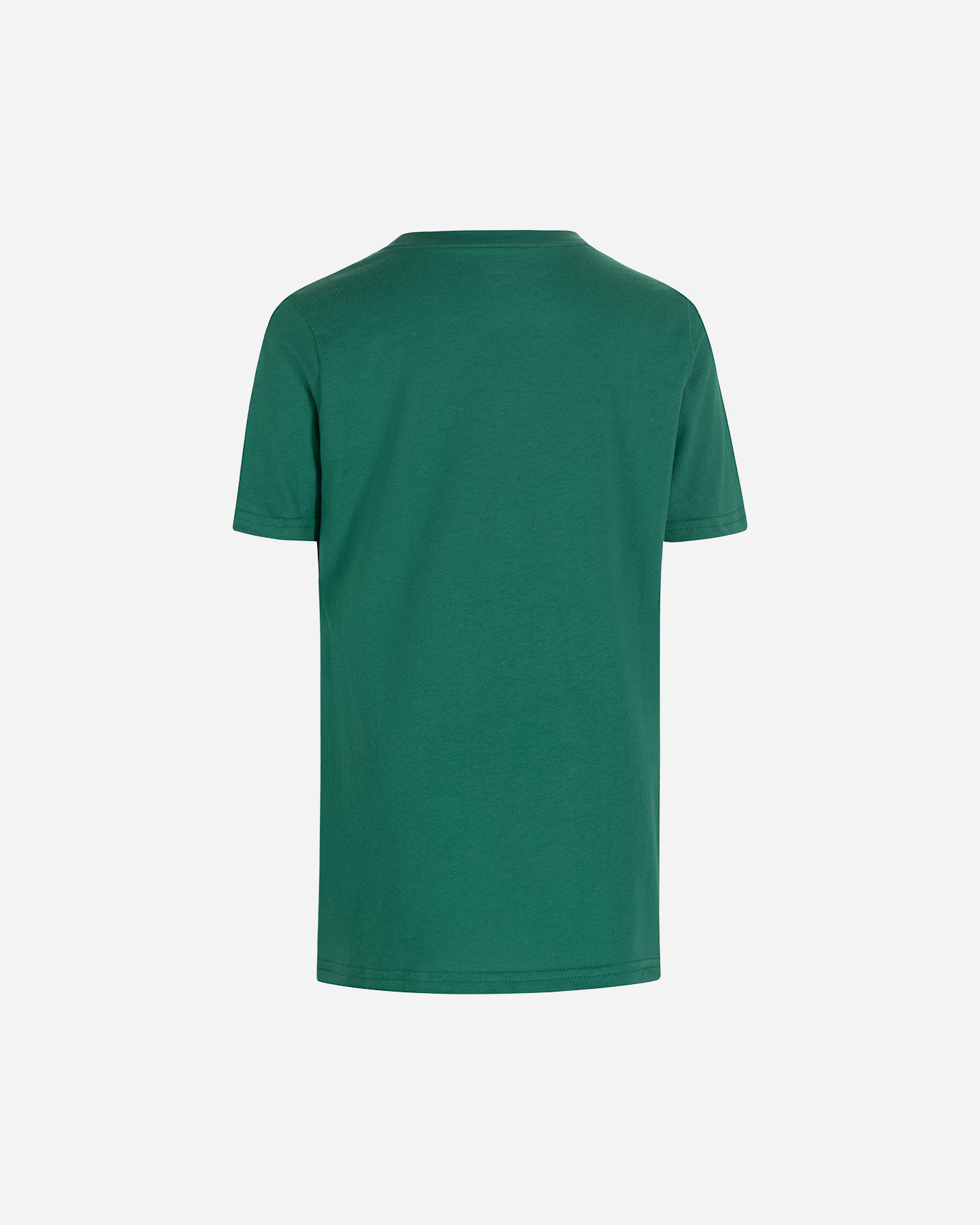 Abbigliamento basket NIKE ESSENTIAL BLOCK BOSTON CELTICS JR - Verde - 1 | Cisalfa Sport