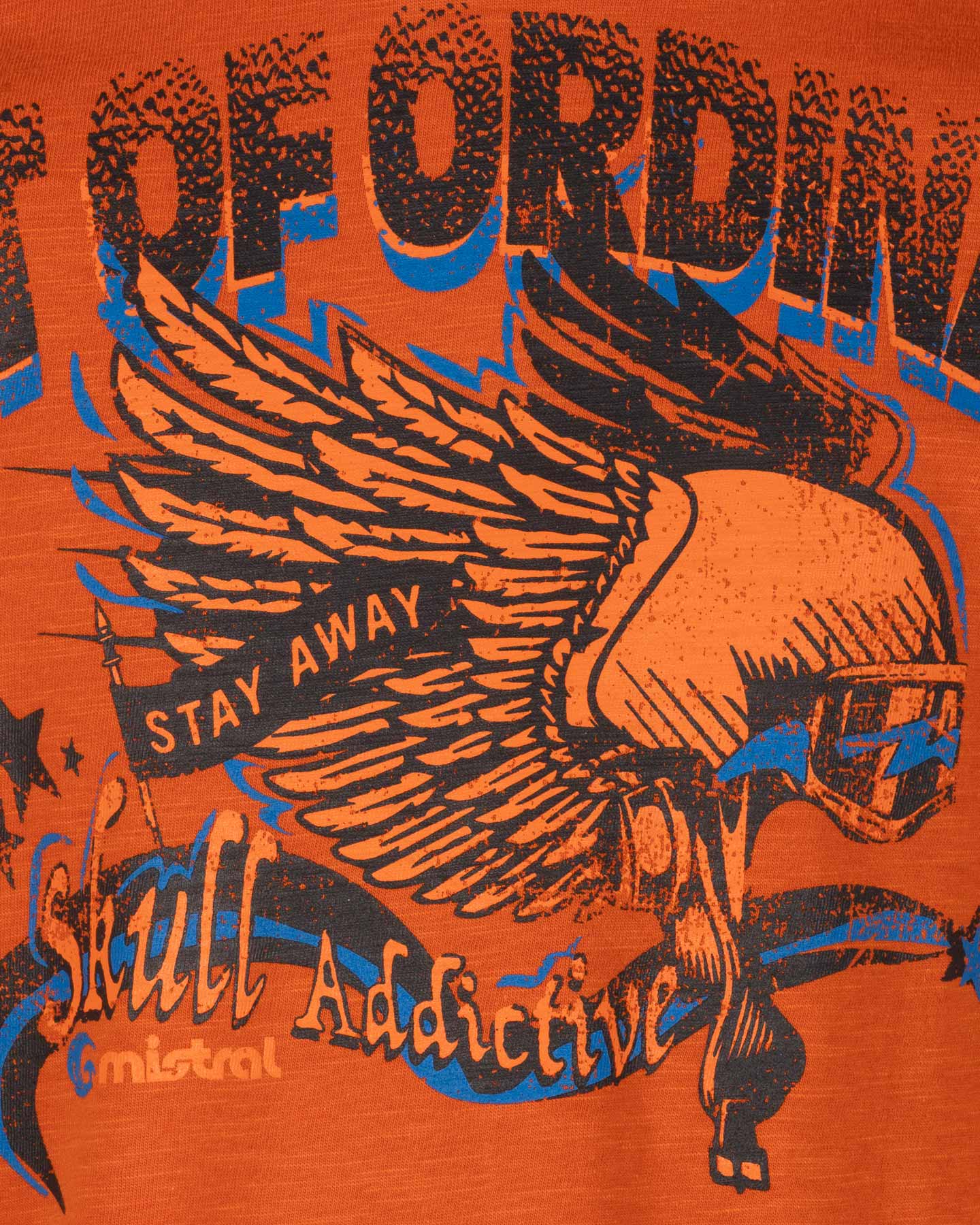 T-shirt MISTRAL ADVENTURE DIVISION JR - Arancione - 2 | Cisalfa Sport
