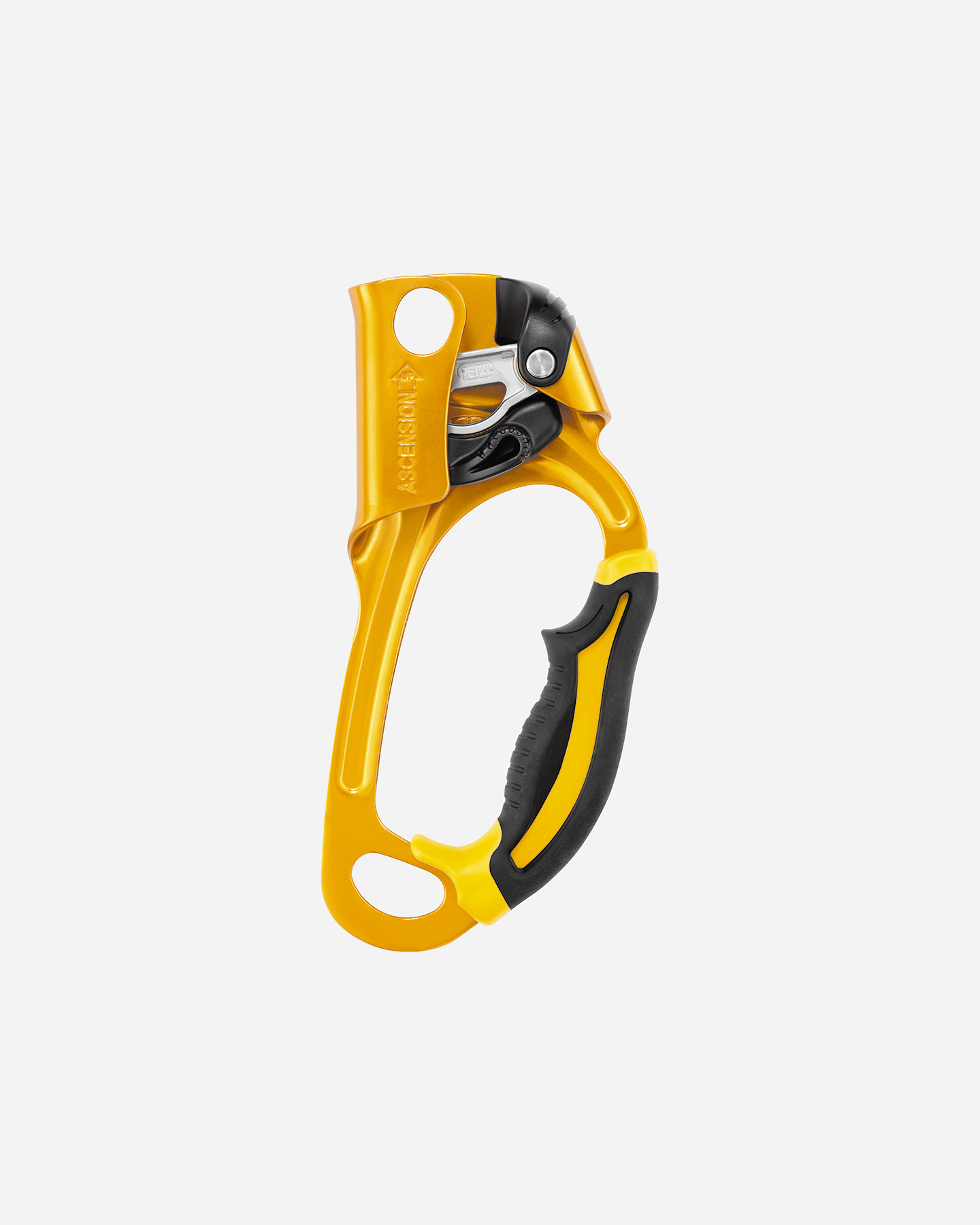 Accessorio arrampicata PETZL MANIGLIA PETZL ASCENSION DX B17ARA - 0 | Cisalfa Sport