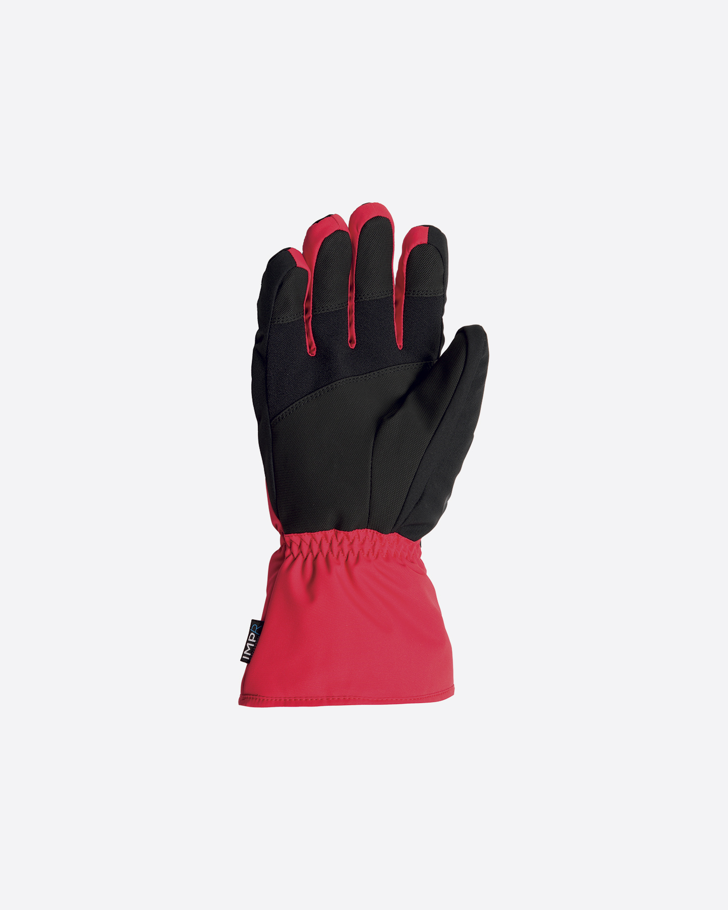 Guanti sci ROSSIGNOL TECH IMPR 301 M - Rosso - 2 | Cisalfa Sport