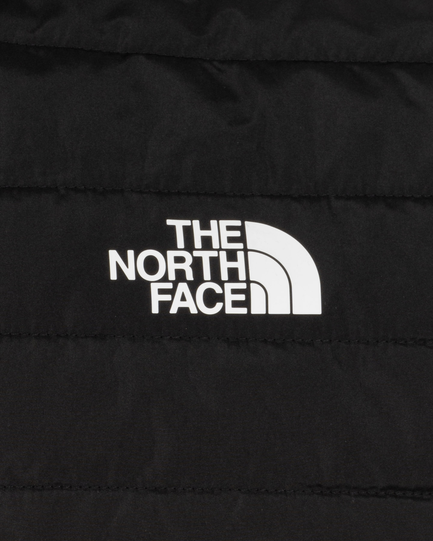 Gilet THE NORTH FACE CANYONLANDS M - Nero - 2 | Cisalfa Sport