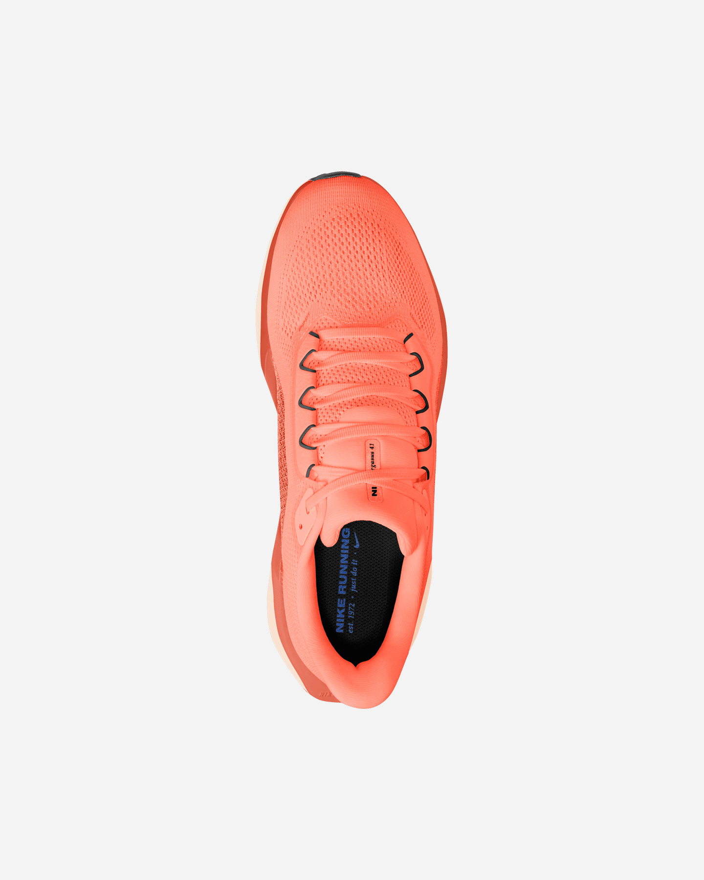 Scarpe running NIKE PEGASUS 41 M - 2 | Cisalfa Sport