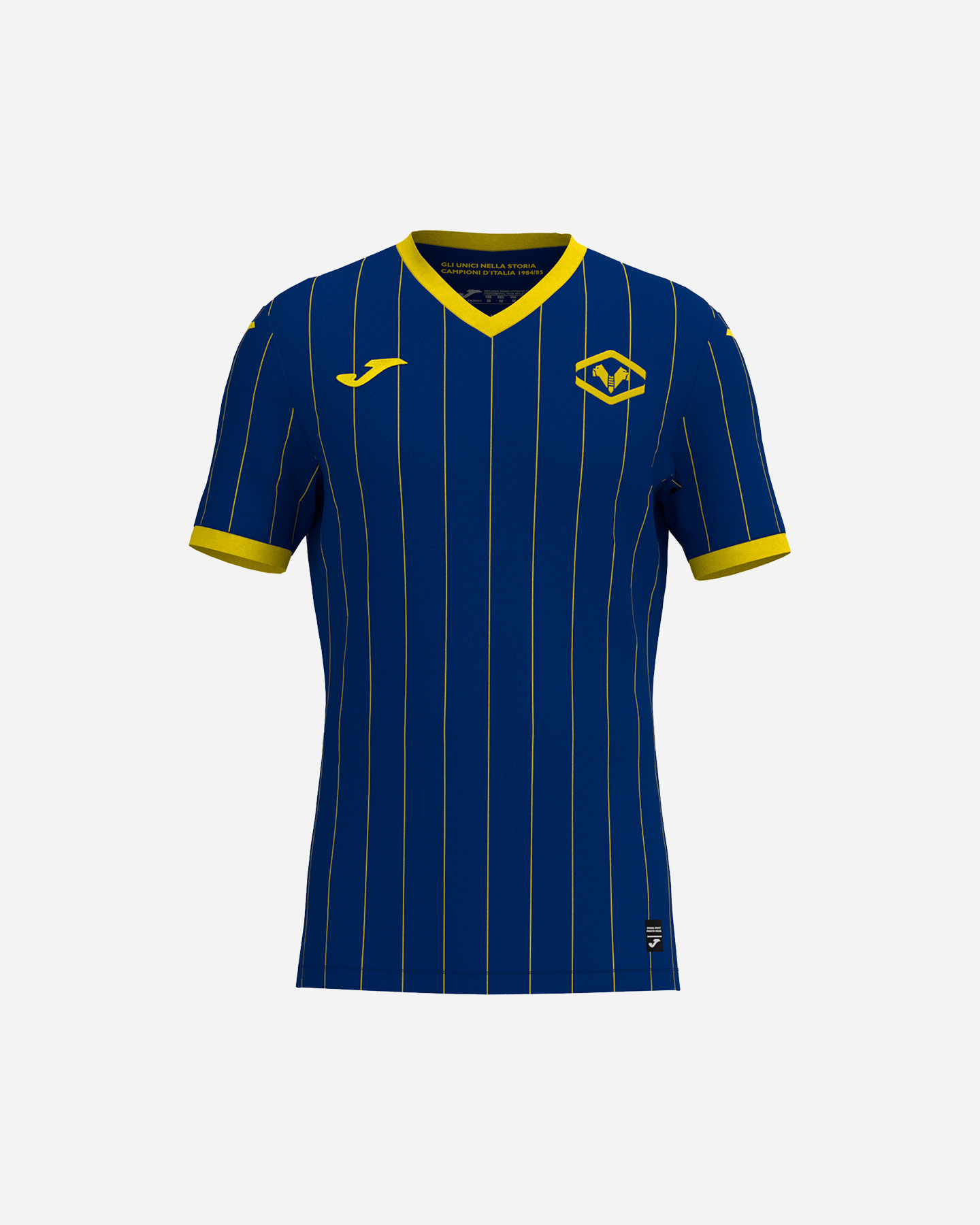 Maglia Calcio Ufficiale Joma Hellas Verona Home Replica 24 25 Jr TI10601B5101.JR Cisalfa Sport