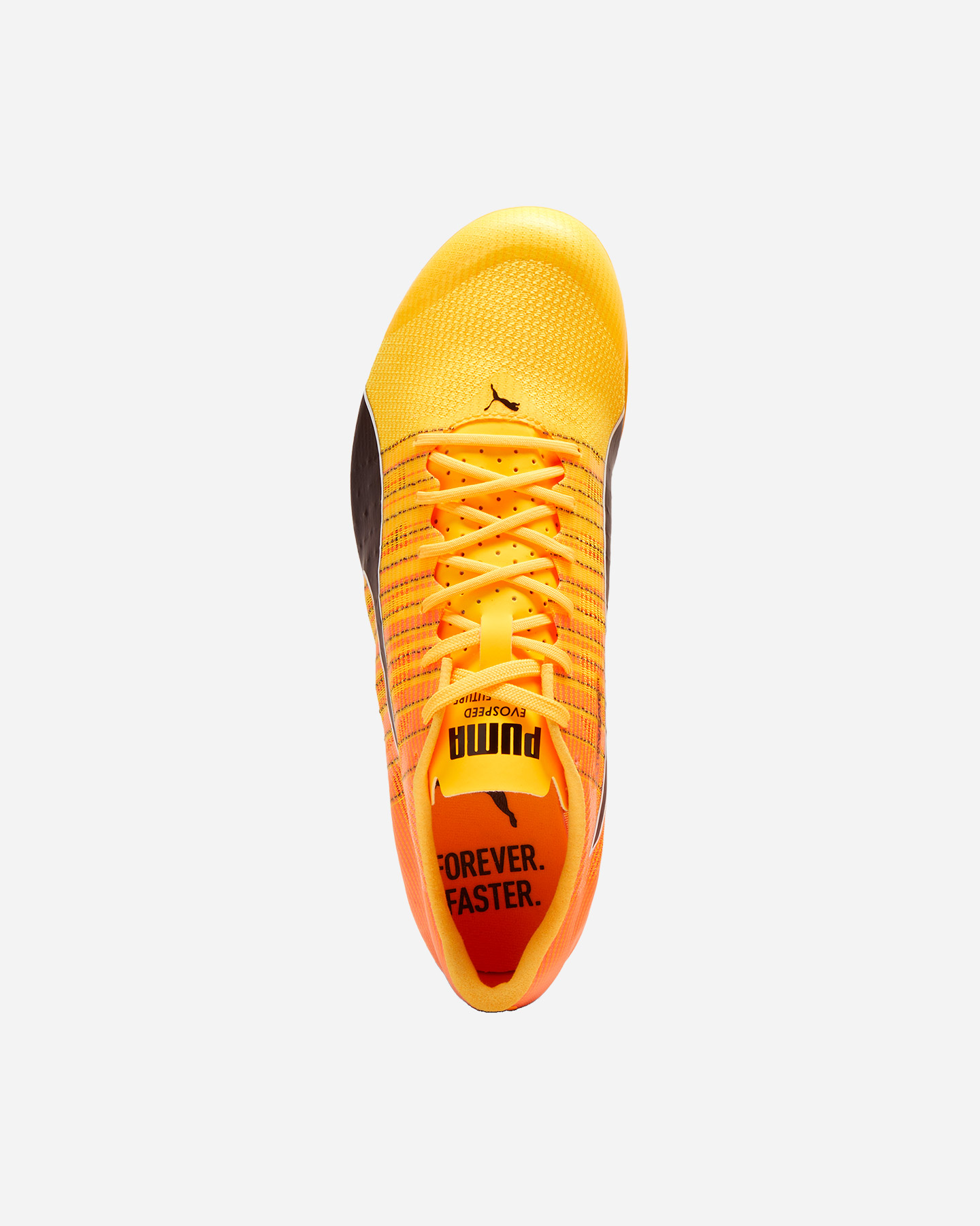 Scarpe running PUMA EVOSPEED FUTURE 6 M - 3 | Cisalfa Sport