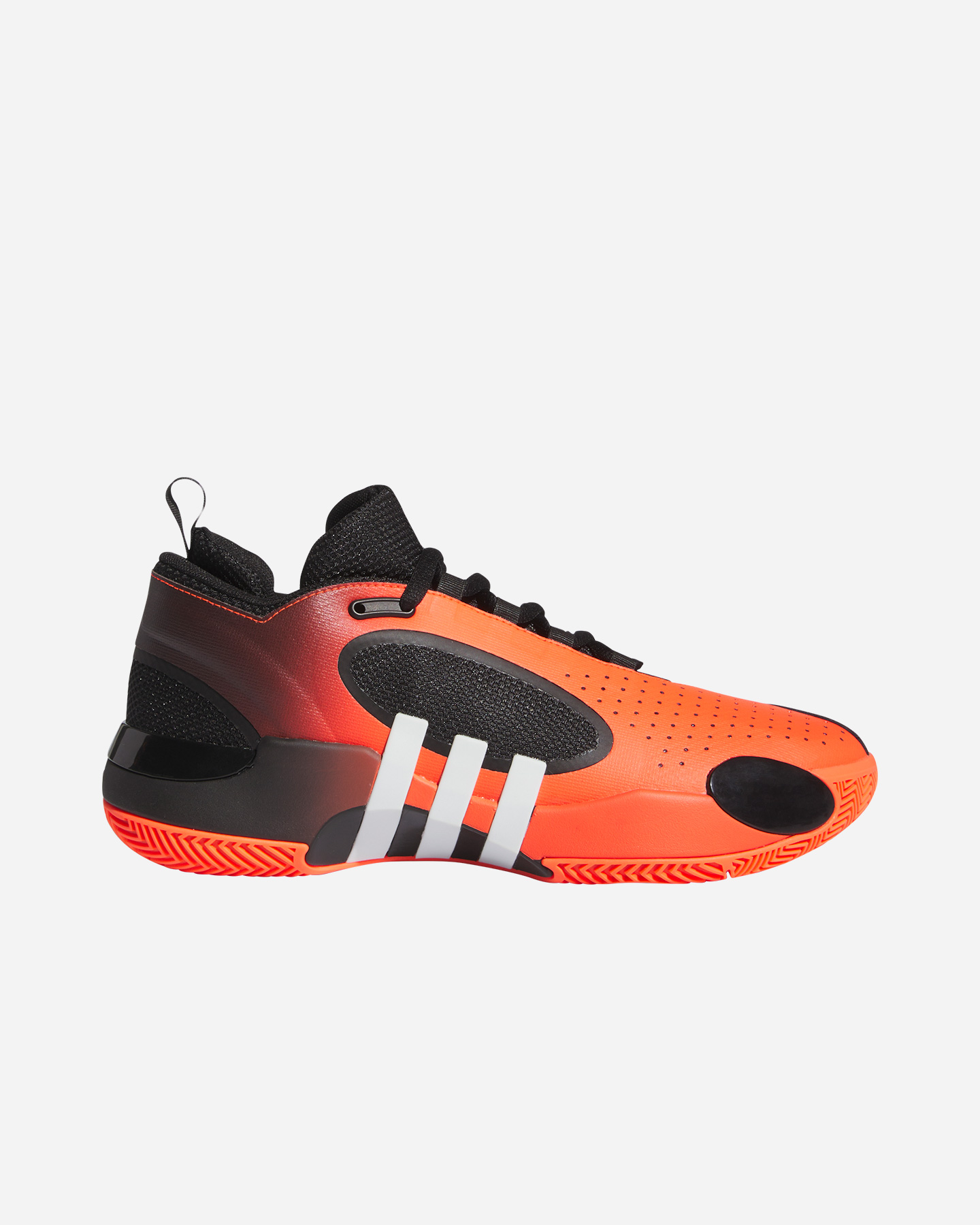 Scarpe basket ADIDAS D.O.N. ISSUE 5 M - 0 | Cisalfa Sport