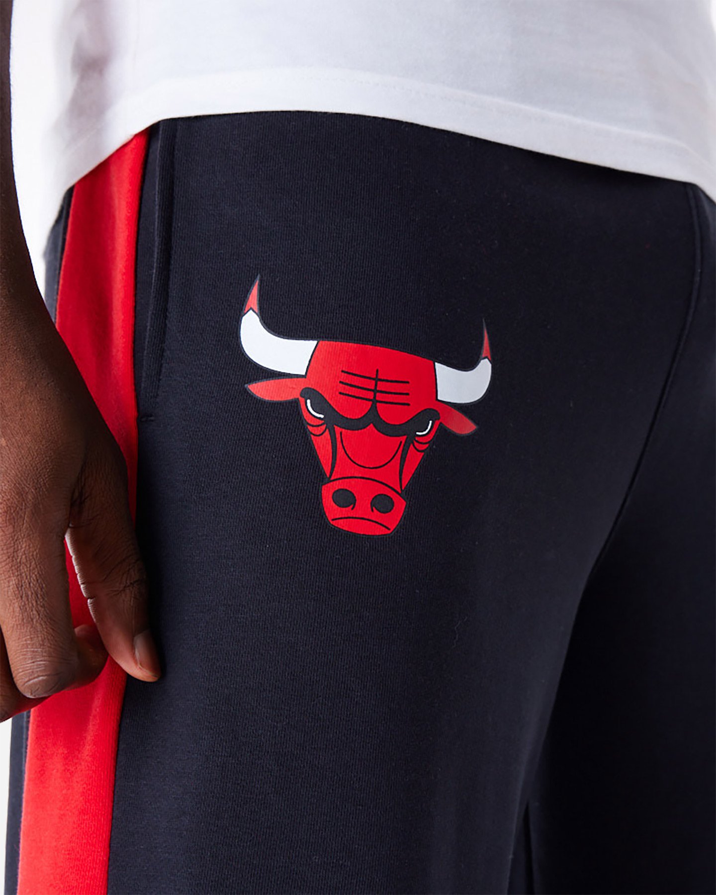 Abbigliamento basket NEW ERA PANEL BULLS JOGGER M - 4 | Cisalfa Sport