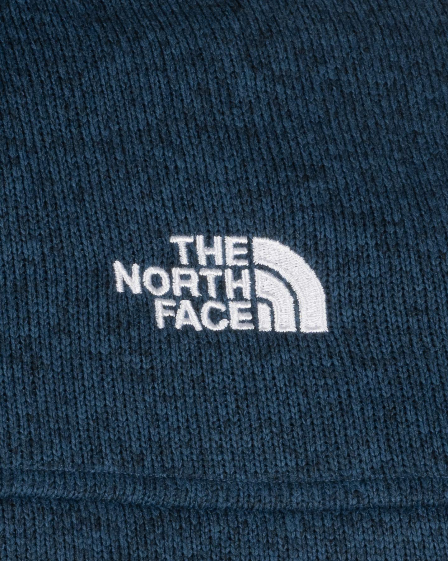 Pile THE NORTH FACE JUMORA M - 2 | Cisalfa Sport