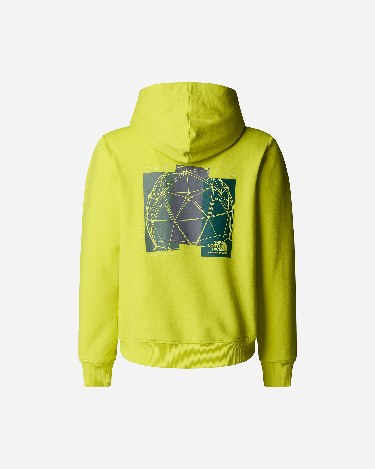 Felpa THE NORTH FACE RELAXED GRAPHIC JR - Verde - 1 | Cisalfa Sport