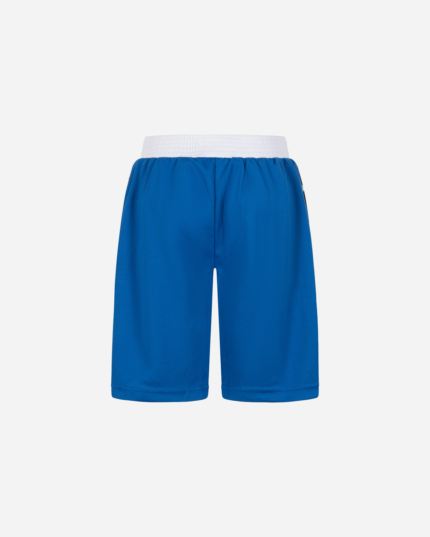 Pantaloncini LEONE BOXE ICONIC - Blu - 1 | Cisalfa Sport