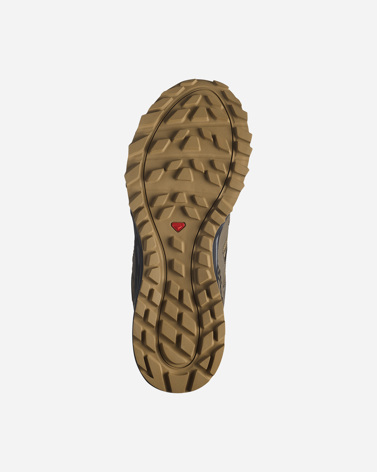 Scarpe trail SALOMON WANDER GTX M - Marrone - 1 | Cisalfa Sport