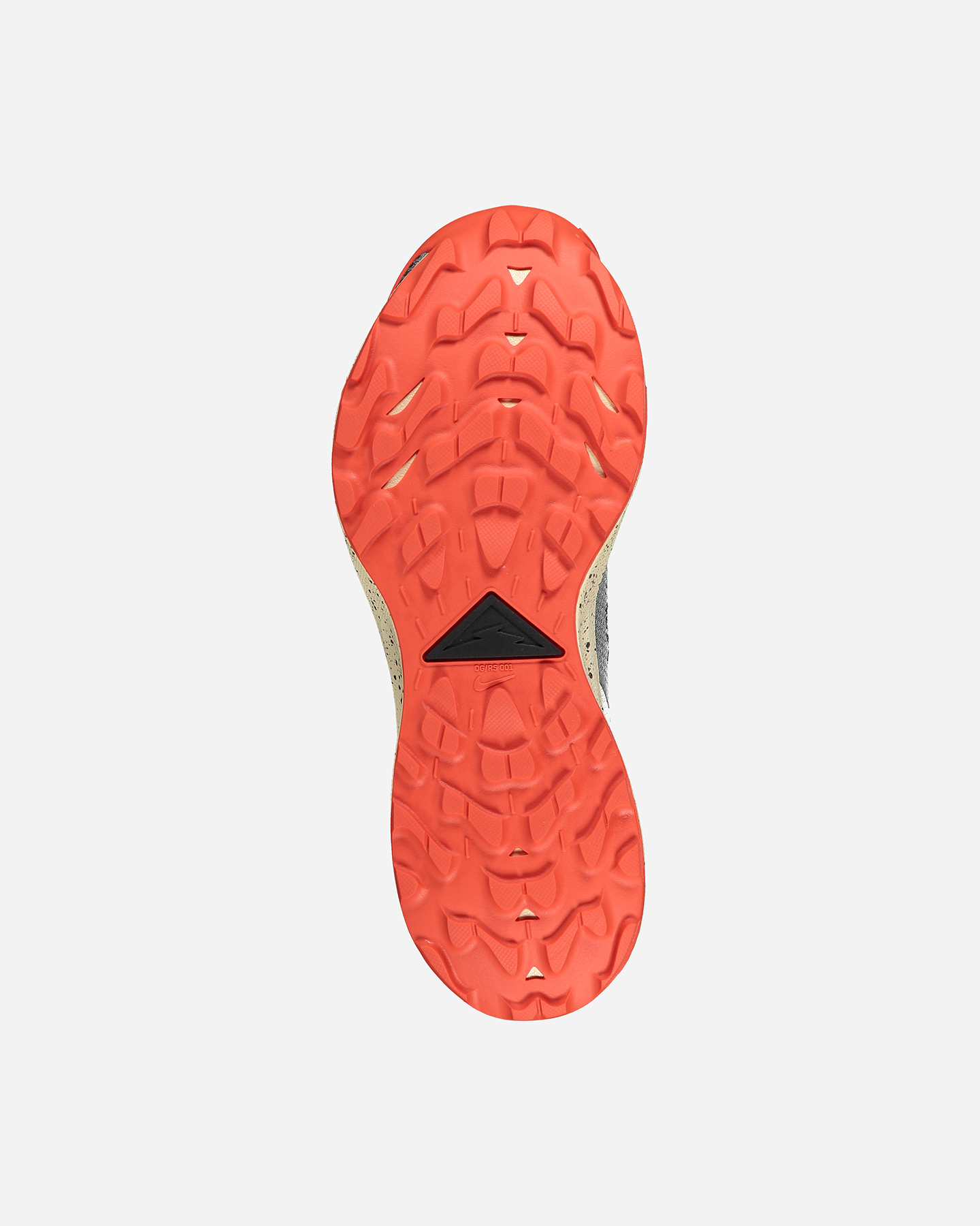 Scarpe trail NIKE PEGASUS TRAIL 2 GTX M - Grigio - 2 | Cisalfa Sport