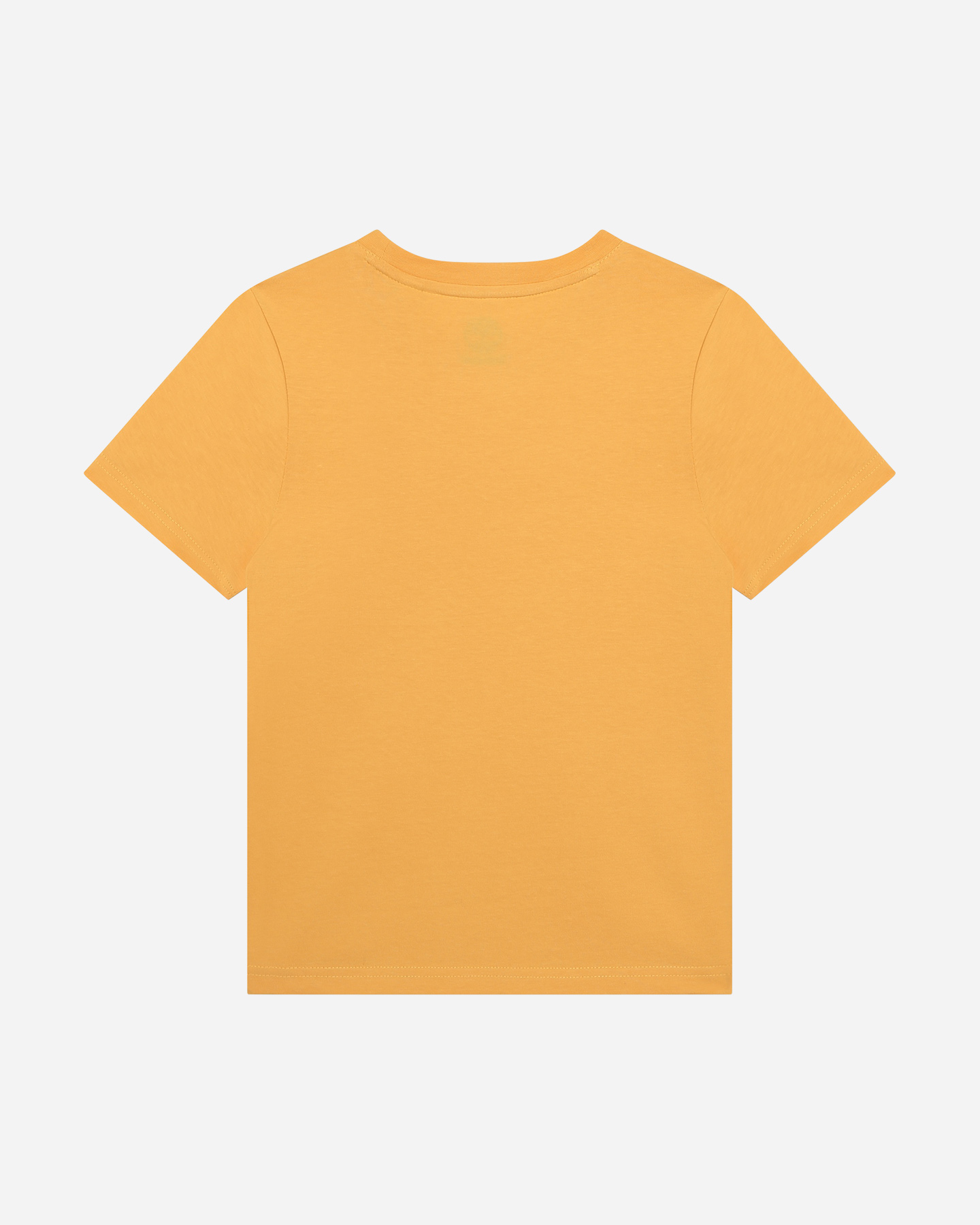 T-shirt TIMBERLAND LOGO TREE JR - Giallo - 1 | Cisalfa Sport