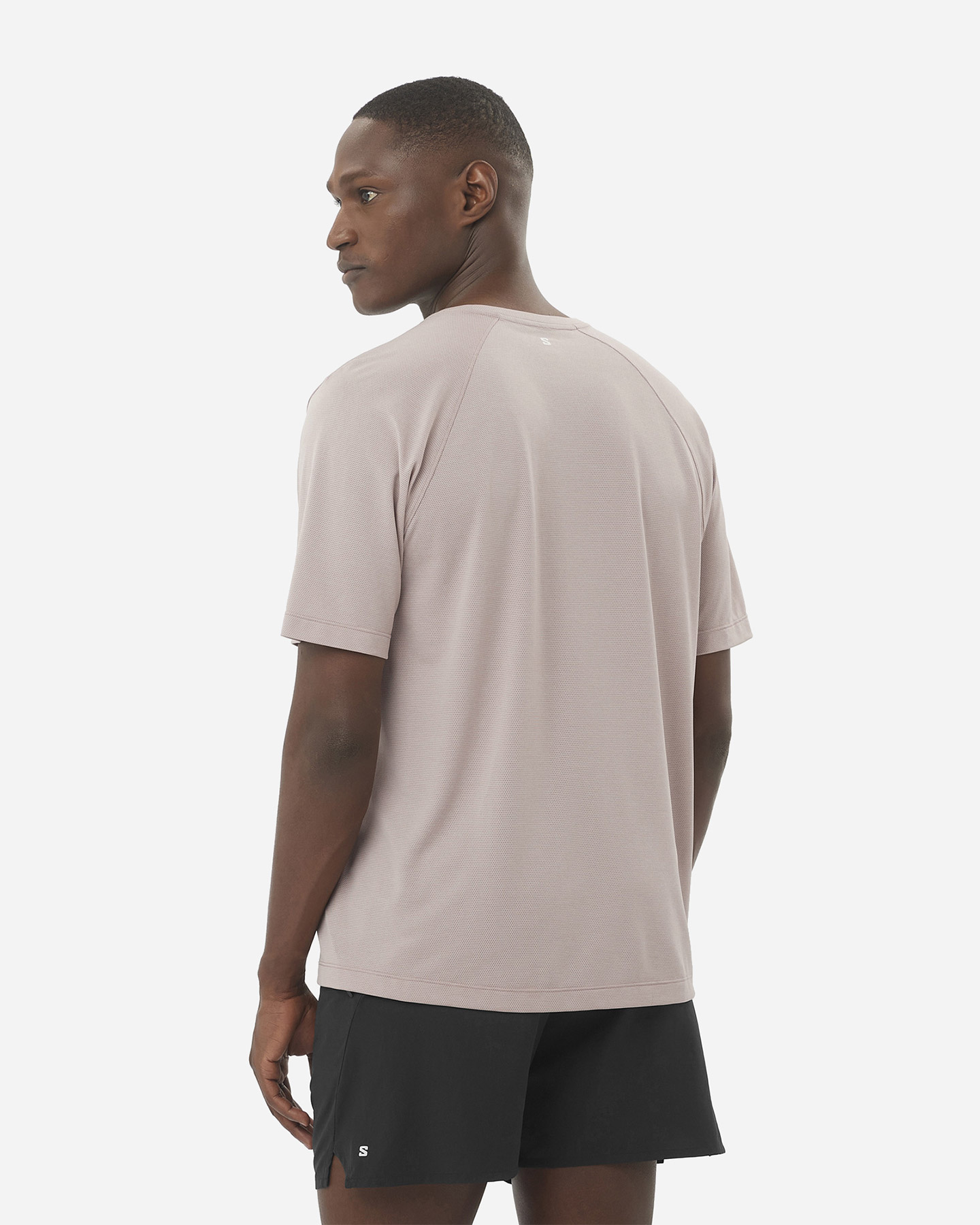 T-shirt SALOMON SHAKEOUT CORE M - Beige - 2 | Cisalfa Sport