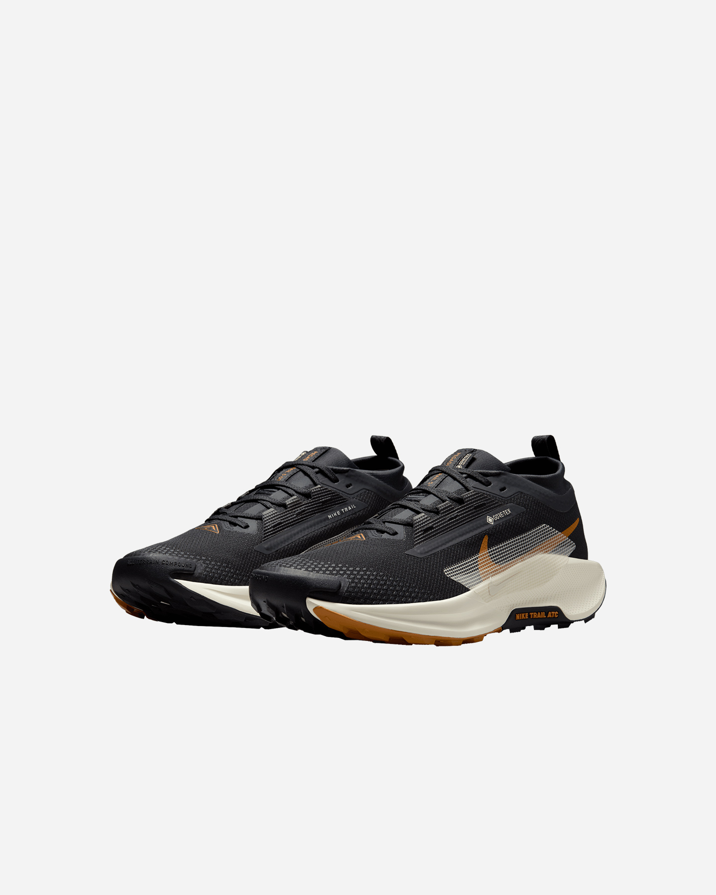 Scarpe trail NIKE PEGASUS TRAIL 5 GORE TEX M - Nero - 1 | Cisalfa Sport