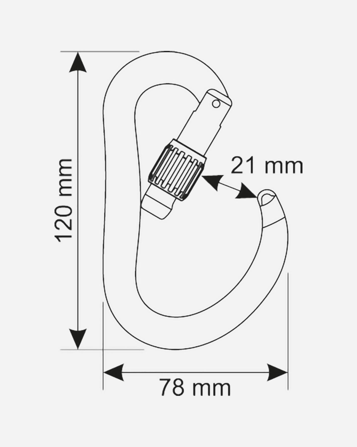 Moschettone CAMP MOSCHETTONE CAMP ATOM LOCK 292101 - 4 | Cisalfa Sport