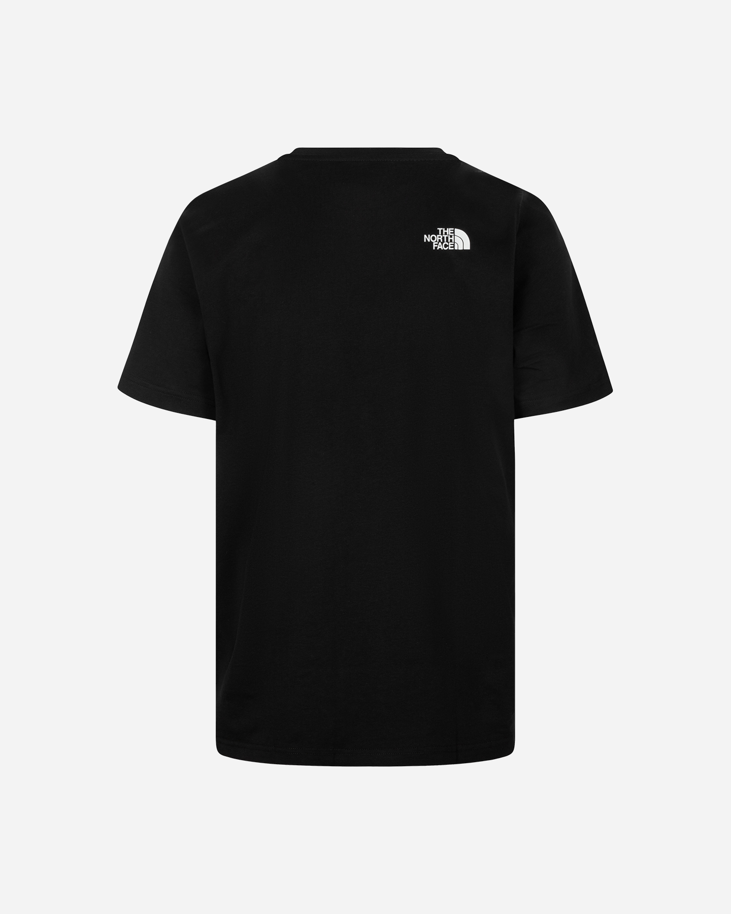 T-shirt THE NORTH FACE LOGO NSE BOX M - 1 | Cisalfa Sport