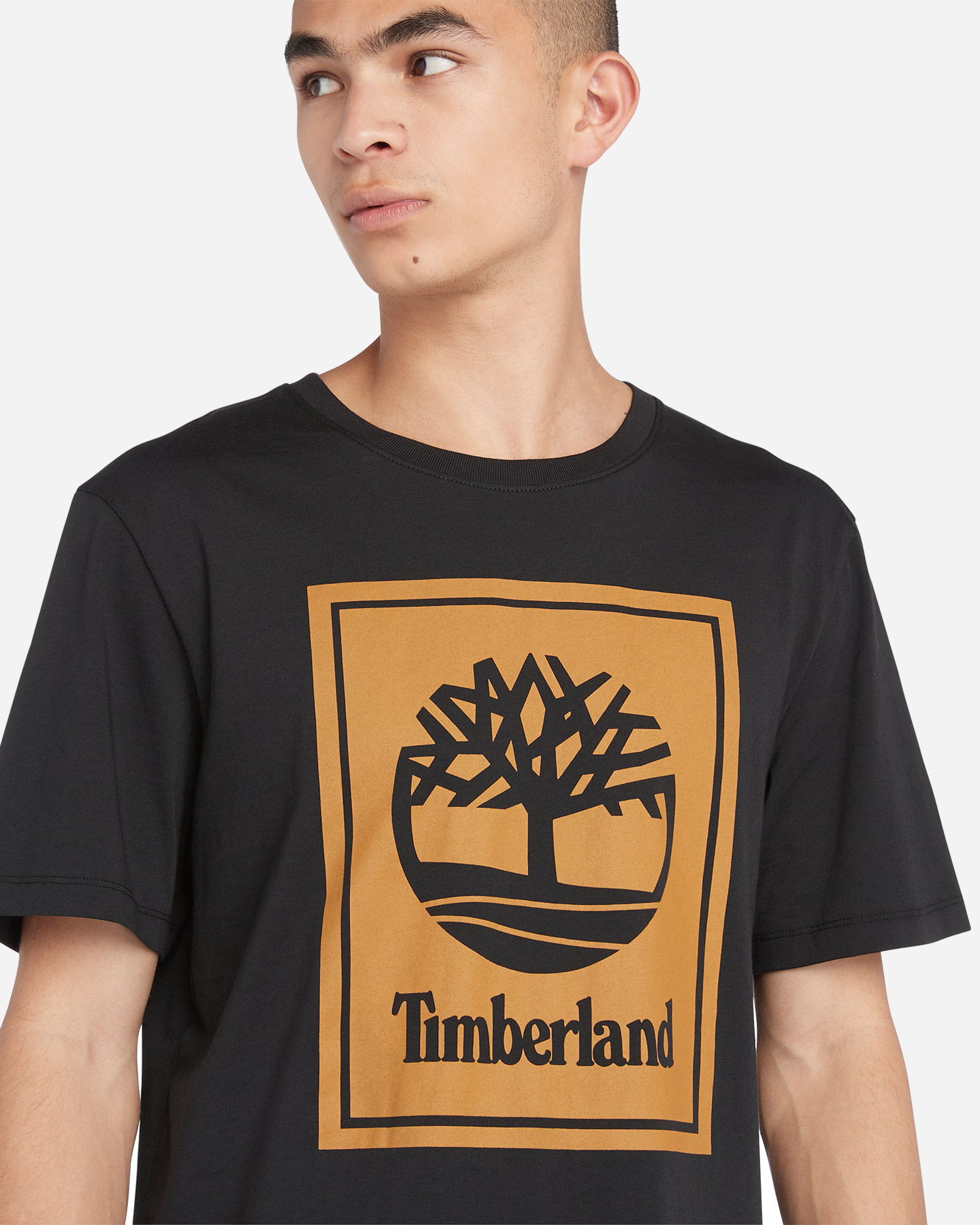 T-shirt TIMBERLAND STACK LOGO M - 4 | Cisalfa Sport