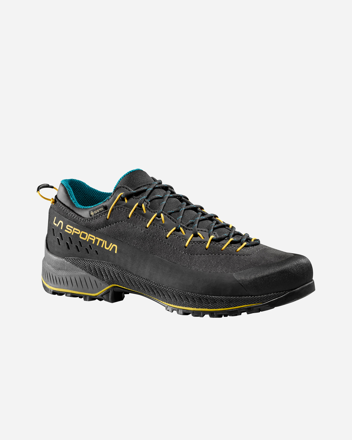 Scarpe trail LA SPORTIVA TX4 EVO GTX M - 1 | Cisalfa Sport