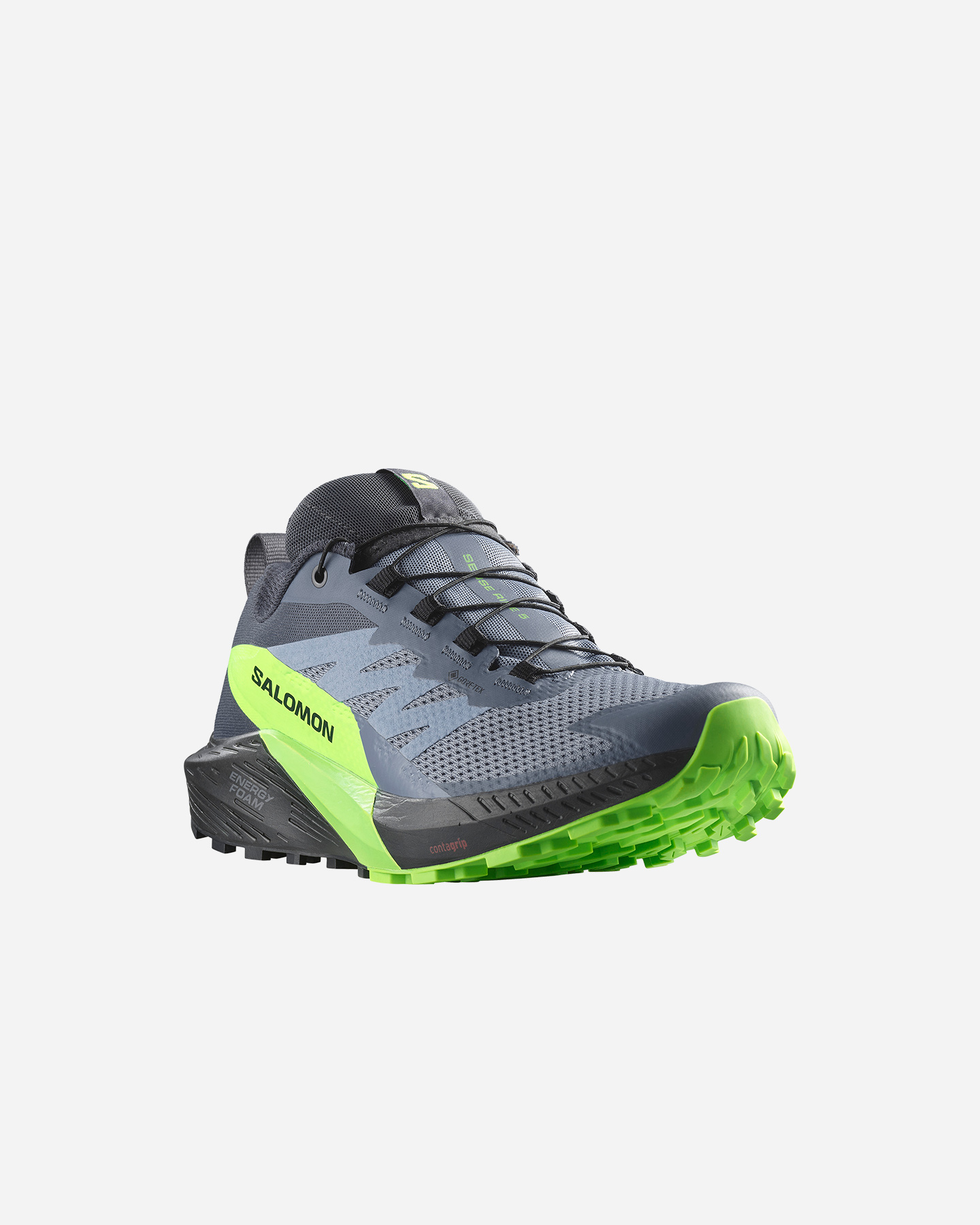 Scarpe trail SALOMON SENSE RIDE 5 GTX M - 1 | Cisalfa Sport