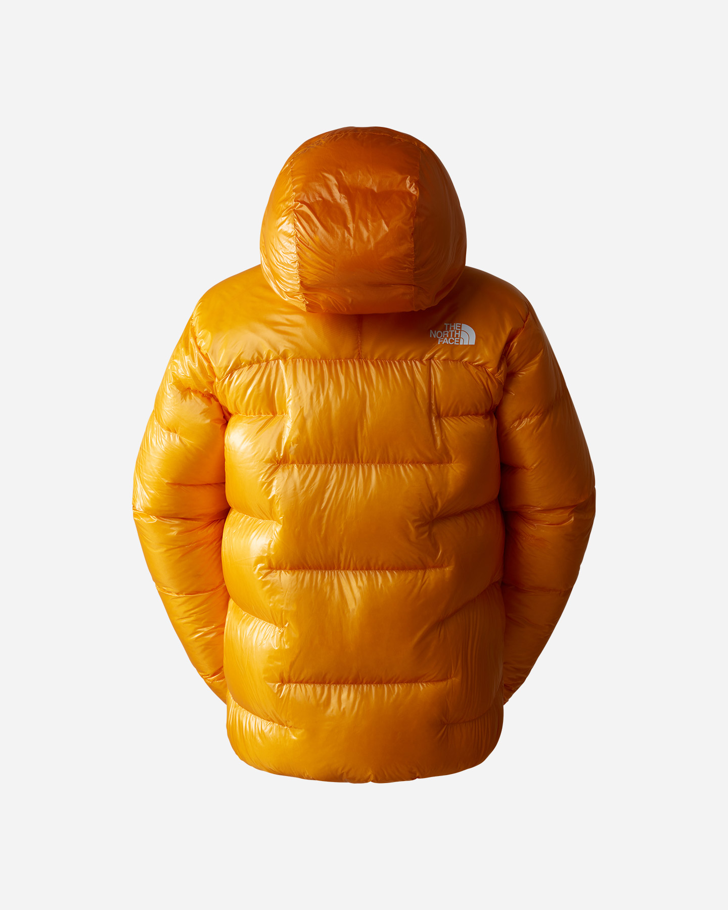 Piumino THE NORTH FACE SUMMIT PUMORI M - 1 | Cisalfa Sport