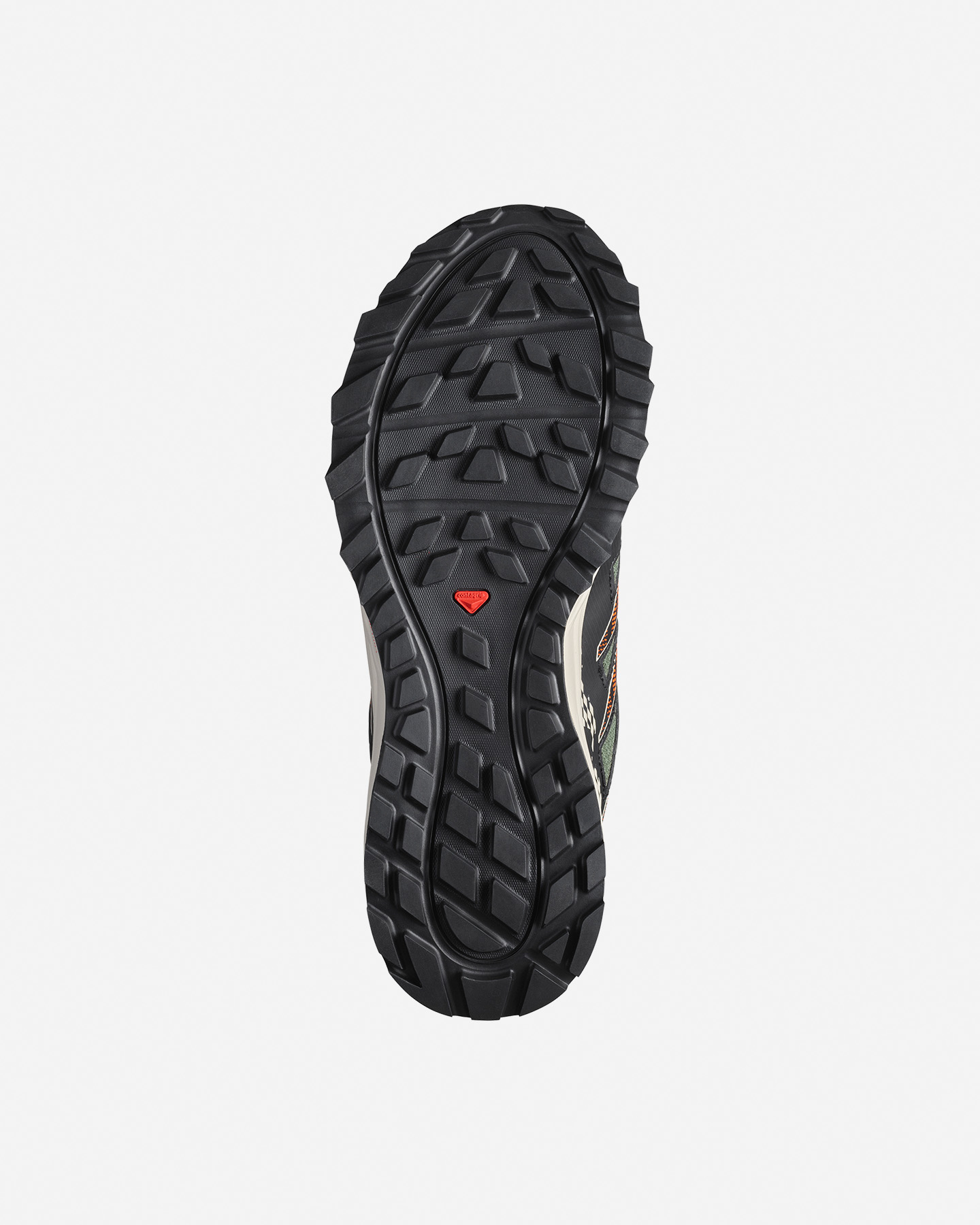 Scarpe trail SALOMON WANDER GTX M - Verde - 2 | Cisalfa Sport