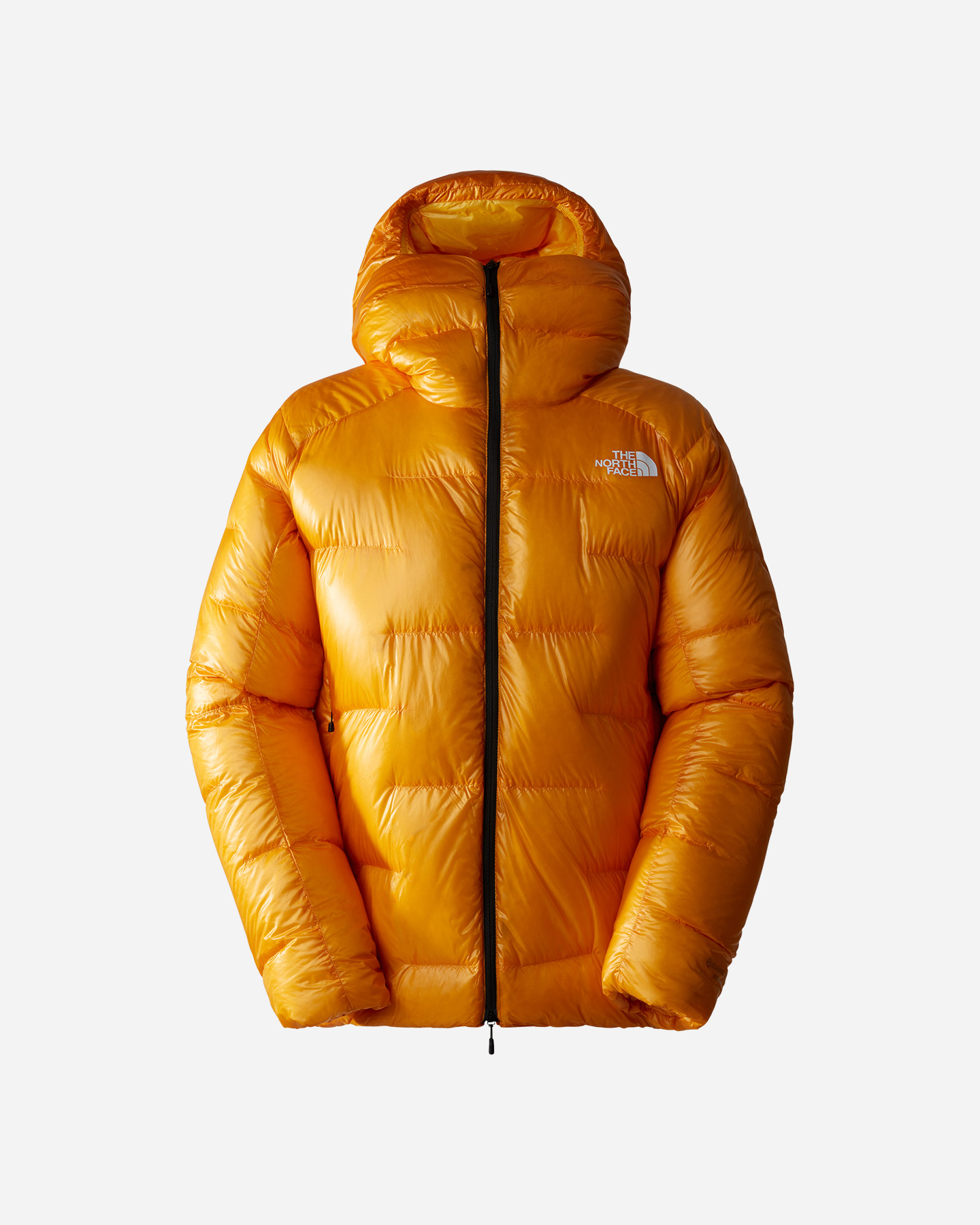 Piumino THE NORTH FACE SUMMIT PUMORI M - 0 | Cisalfa Sport