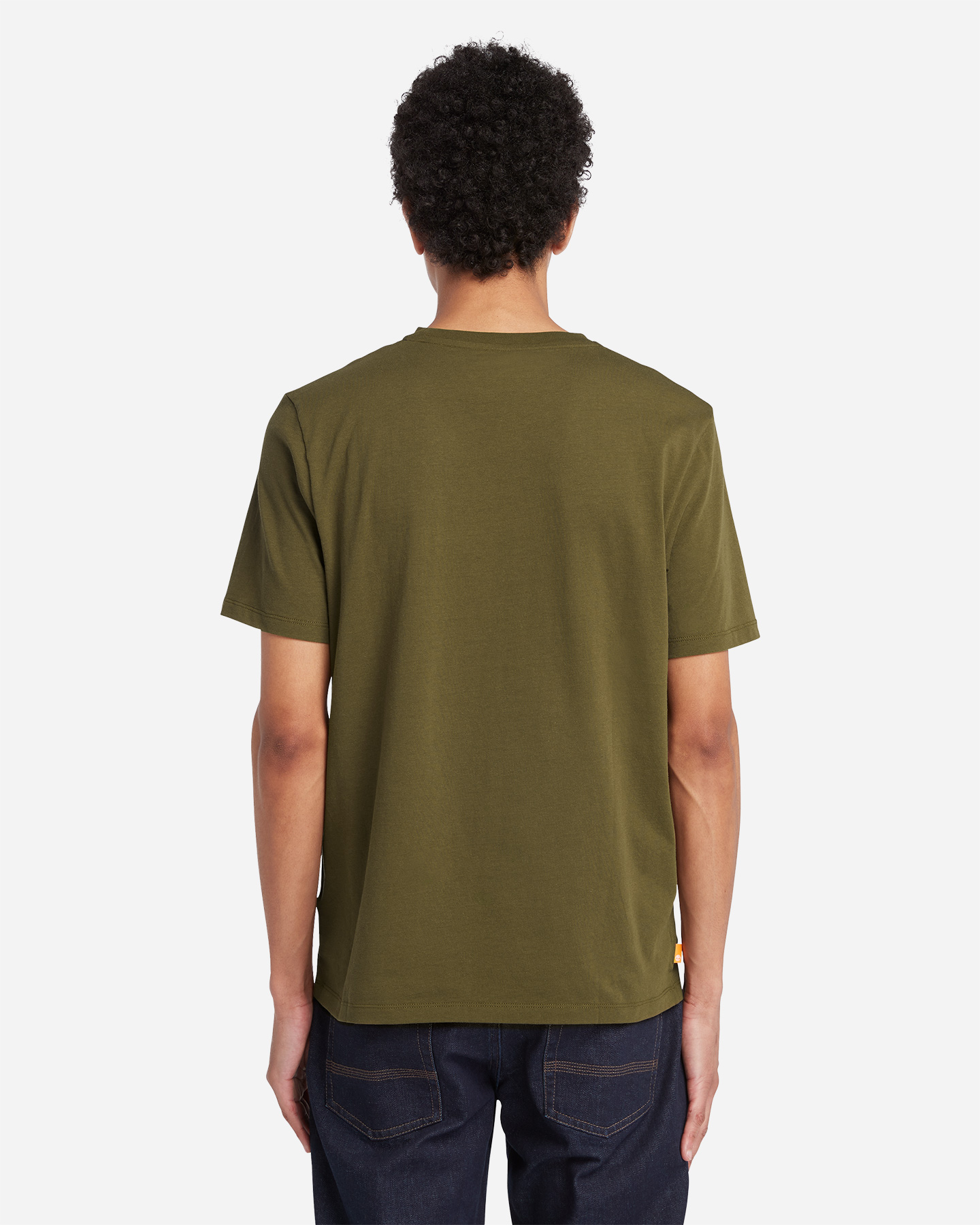 T-shirt TIMBERLAND TREE M - 2 | Cisalfa Sport