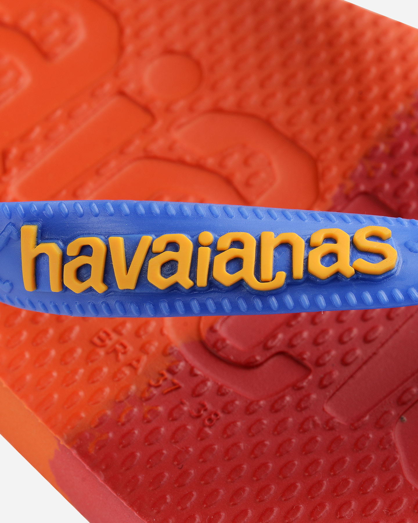 Infradito HAVAIANAS LOGOMANIA M - Blu - 5 | Cisalfa Sport