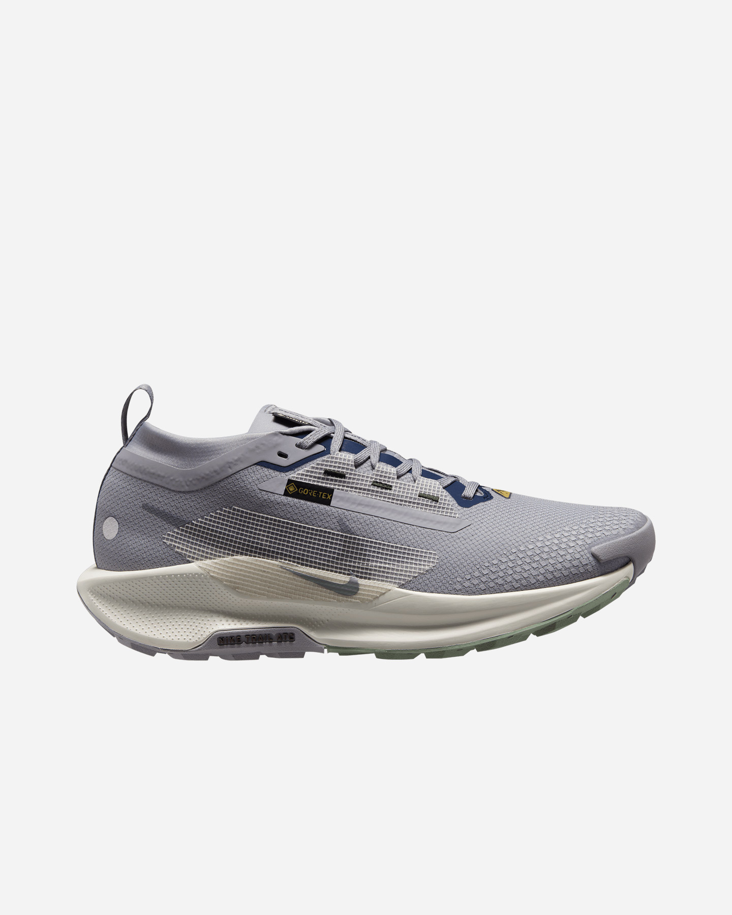 Scarpe trail NIKE PEGASUS TRAIL 5 GORE TEX M - 0 | Cisalfa Sport