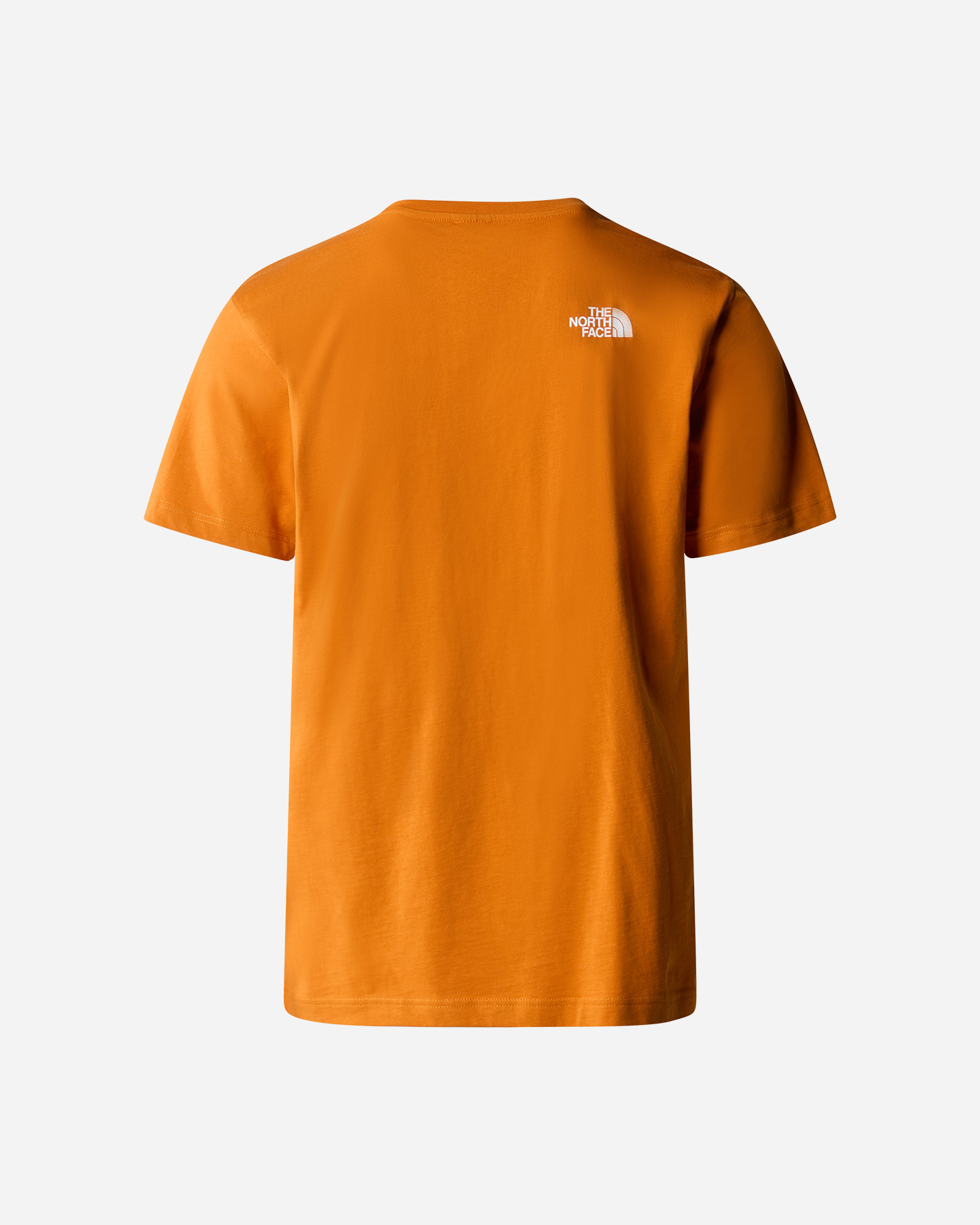 T-shirt THE NORTH FACE EASY TEE BIG LOGO M - 1 | Cisalfa Sport