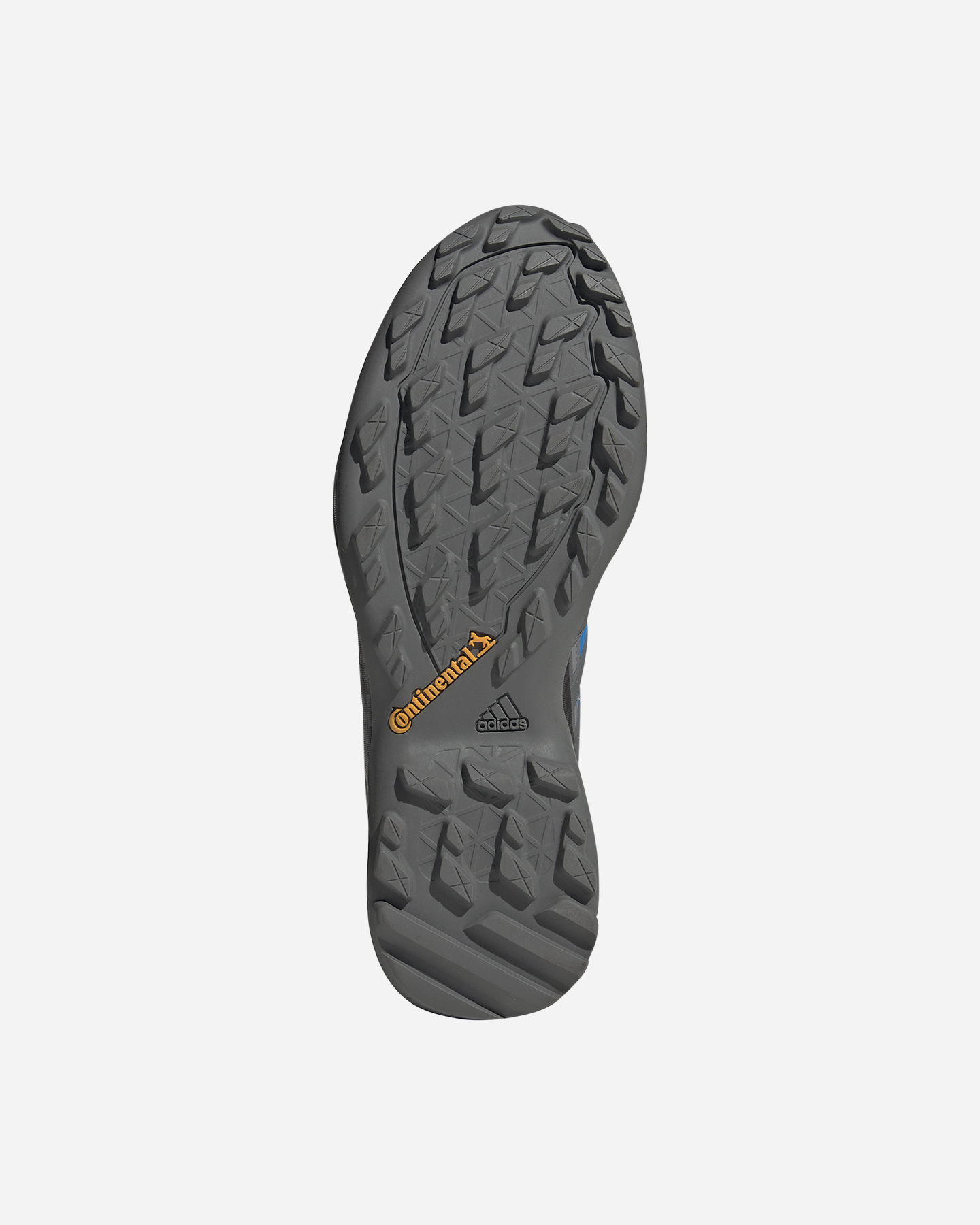 Scarpe trail ADIDAS TERREX SWIFT R2 GTX M - Blu - 1 | Cisalfa Sport