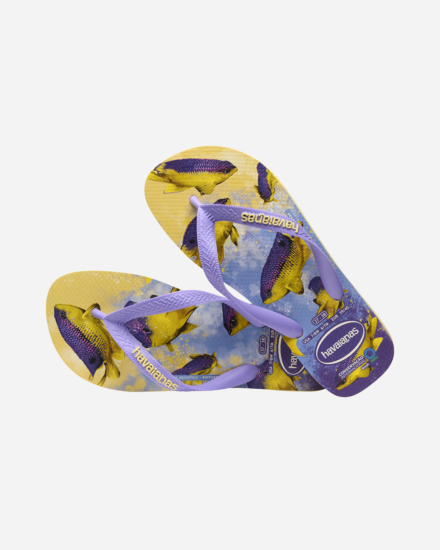 Infradito HAVAIANAS CONSERVATION M - 7 | Cisalfa Sport